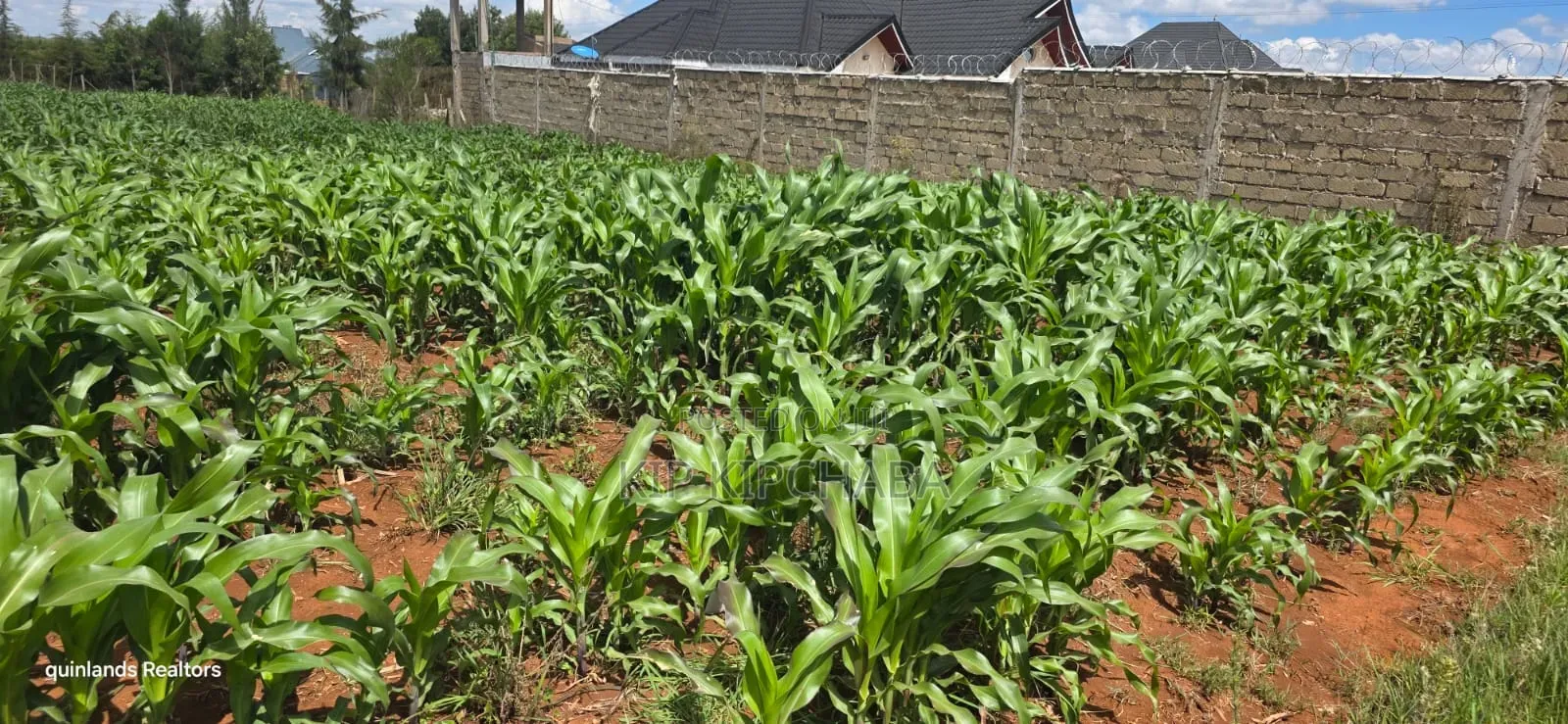 1⁄4 Plot for Sale in Chepkanga Eldoret Mutei Drive in Kimumu