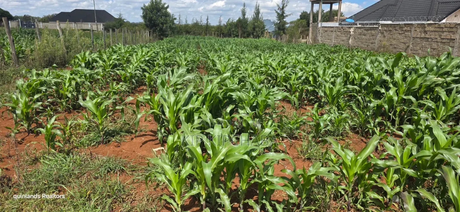 1⁄4 Plot for Sale in Chepkanga Eldoret Mutei Drive in Kimumu