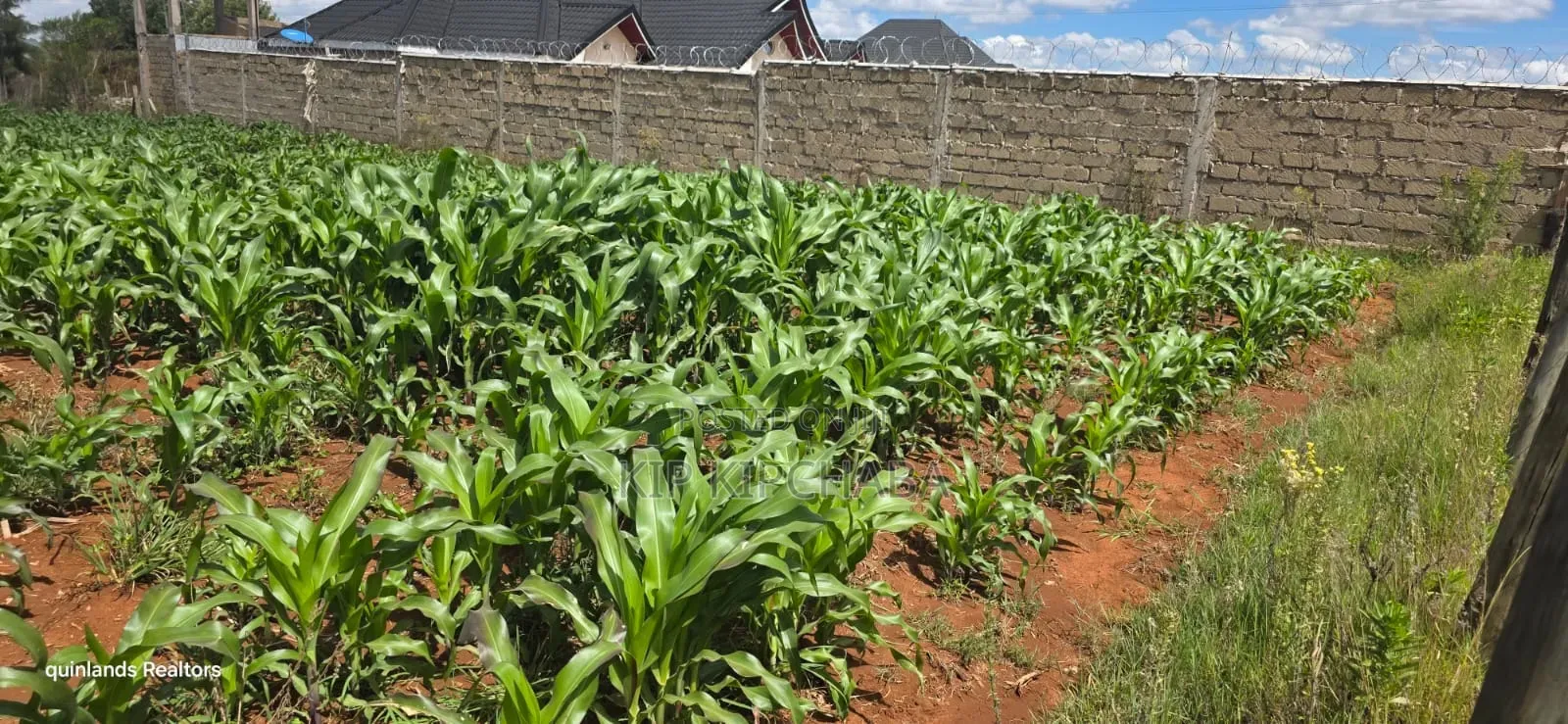 1⁄4 Plot for Sale in Chepkanga Eldoret Mutei Drive in Kimumu