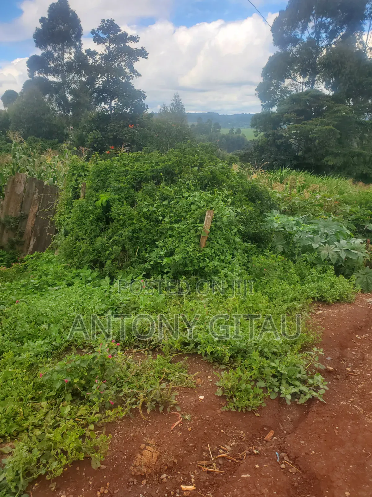 A Long Thogoto Mutarakwa Road in Karai