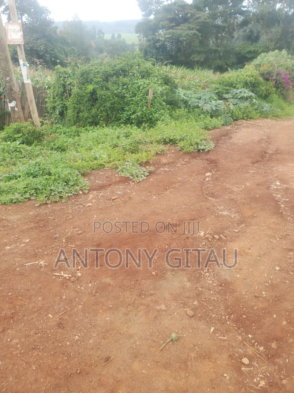 A Long Thogoto Mutarakwa Road in Karai