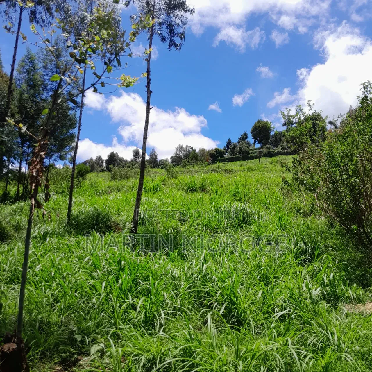30 Acres Nyamamithi, Lower Subukia in Kabazi