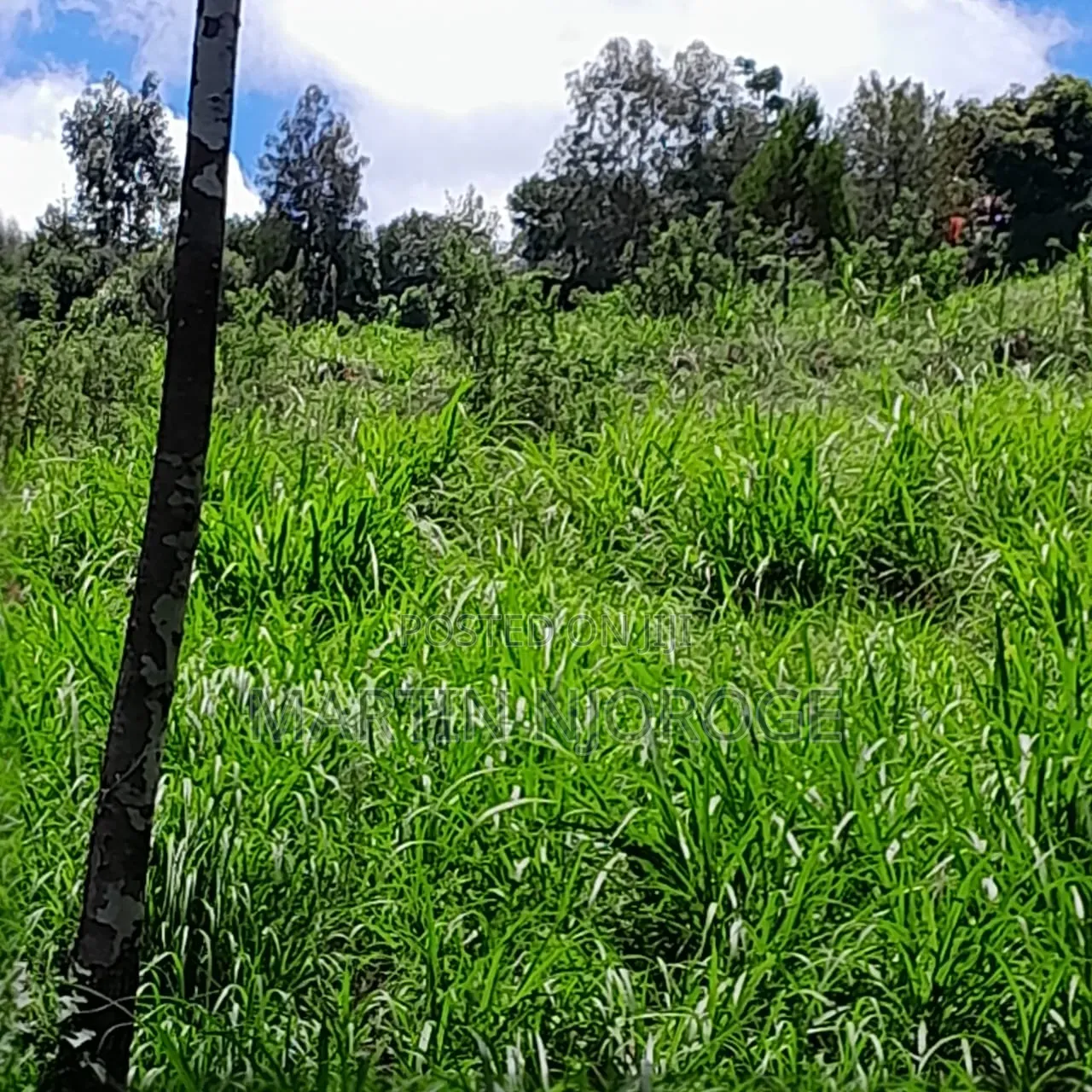 30 Acres Nyamamithi, Lower Subukia in Kabazi