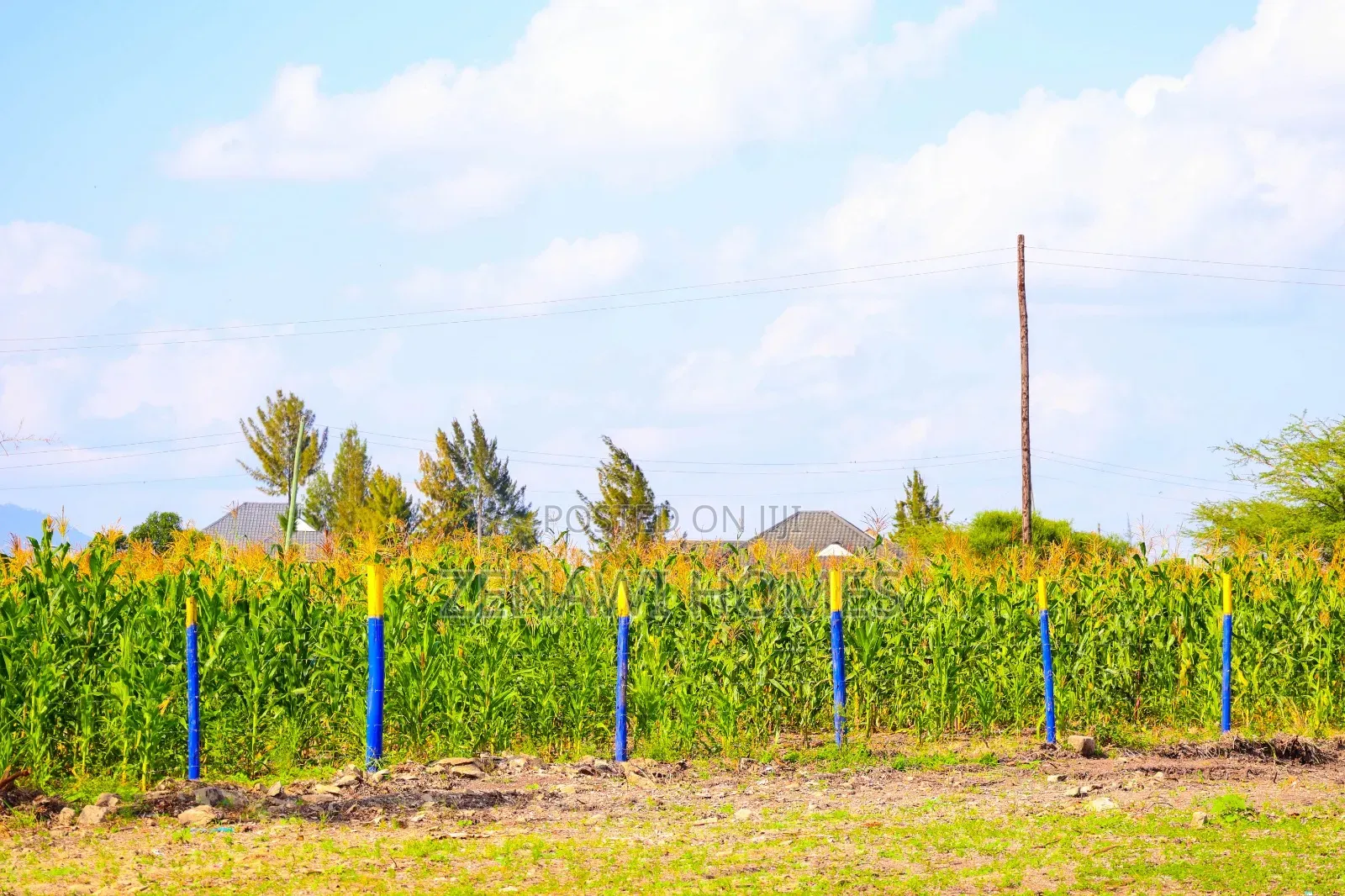 Joska-Mutalia Residential Plots Fj in Joska