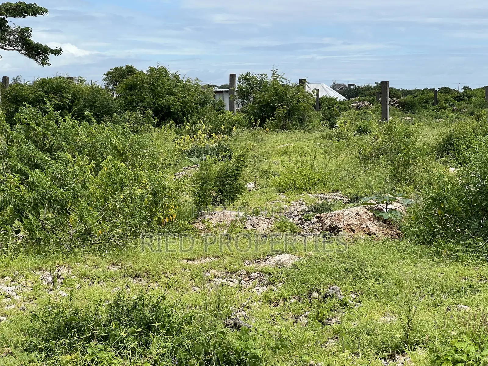 1 Acre Beachplot in Malindi Kilifi for Sale in Town Centre
