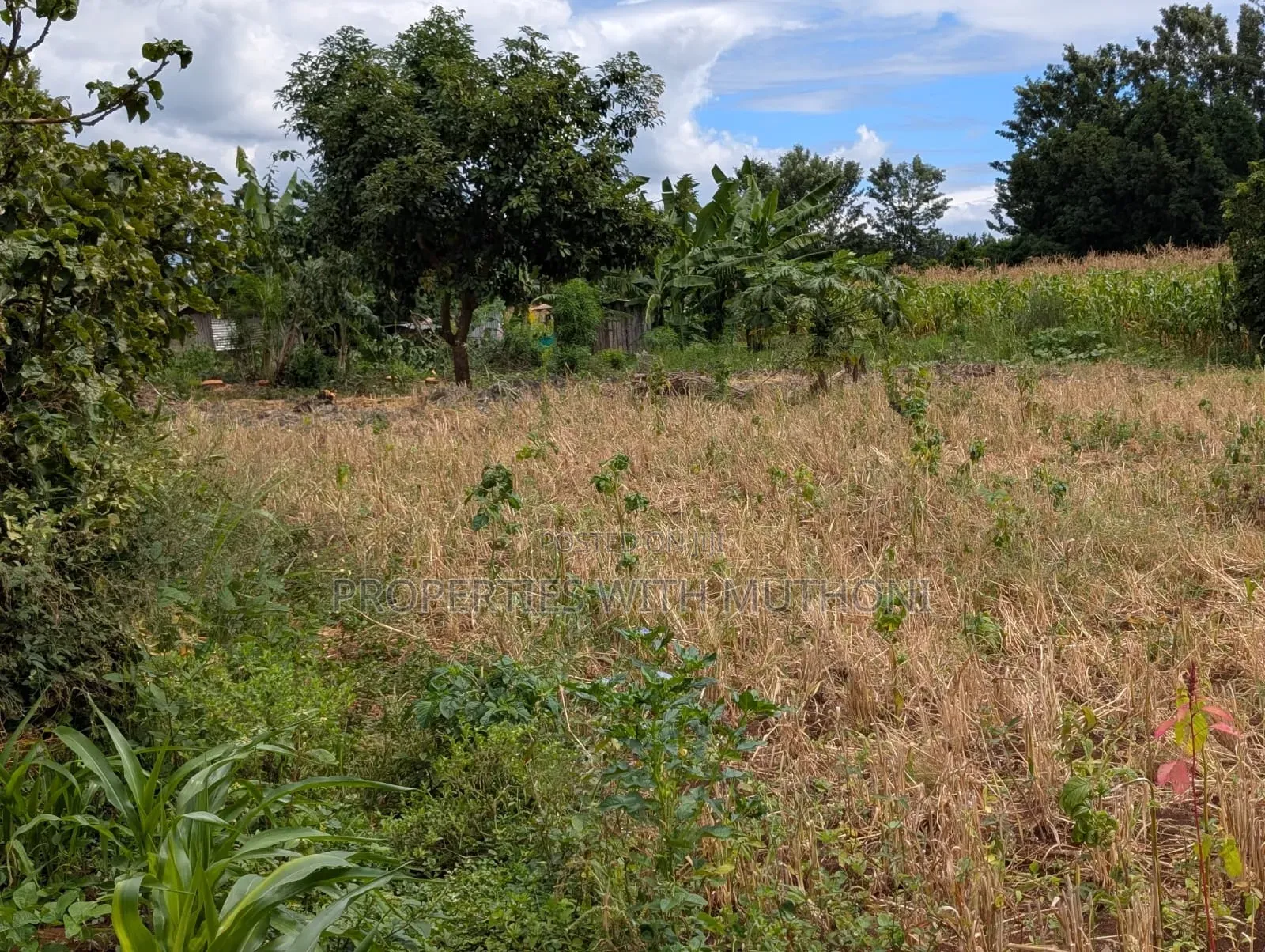 3/4 Acre Land for Sale in Ndaba, Kirinyaga County. in Kangai