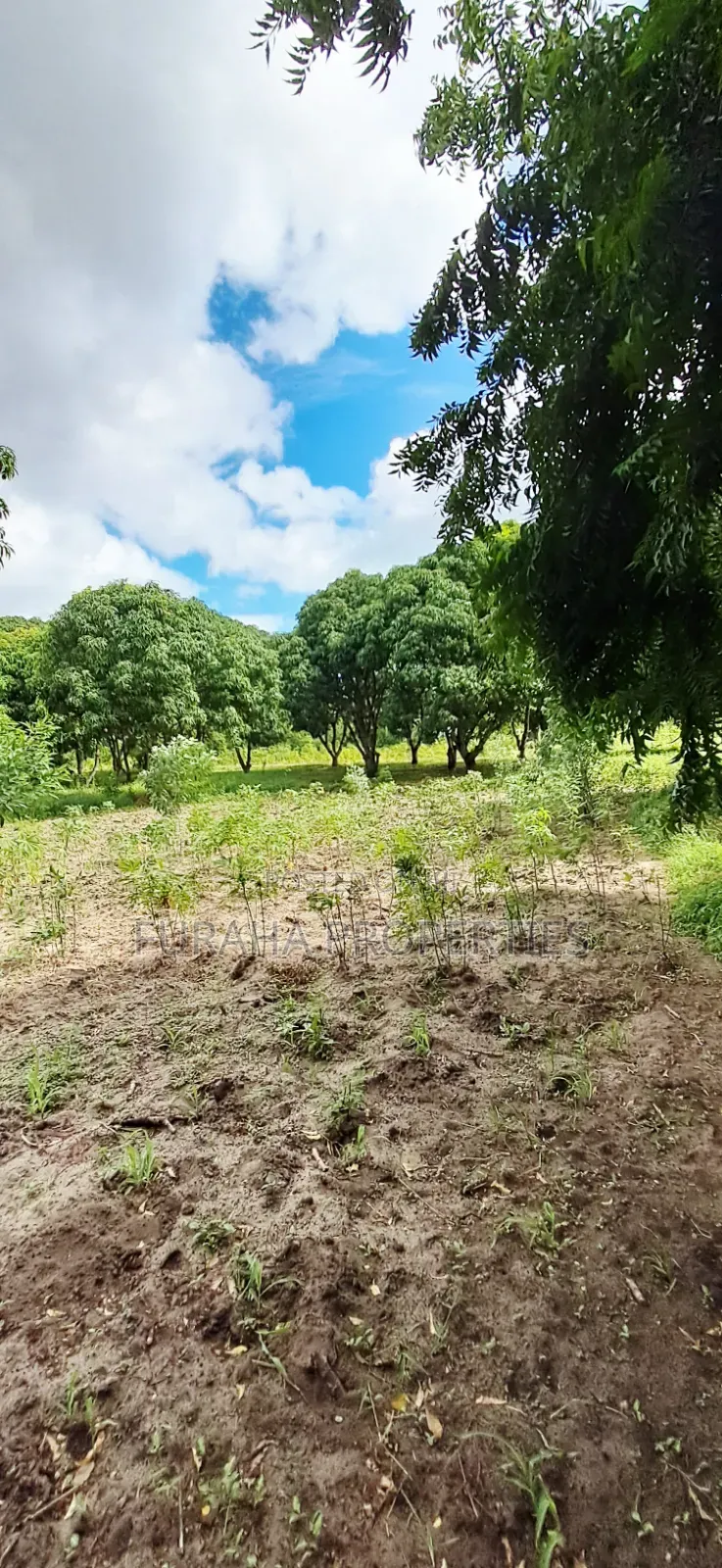For Sale 6 Acres Prime Plot Mtwapa in Mtwapa