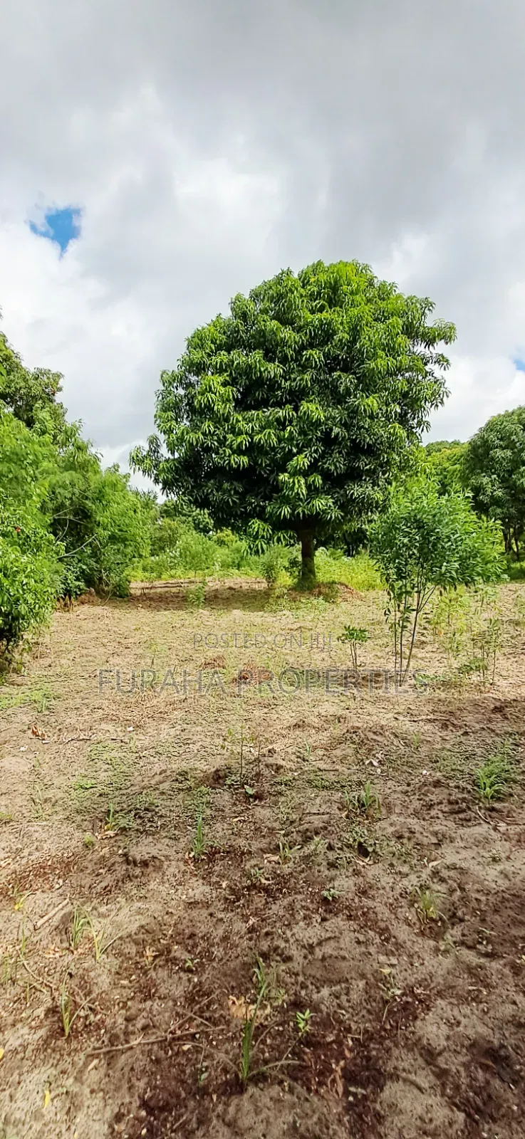 For Sale 6 Acres Prime Plot Mtwapa in Mtwapa