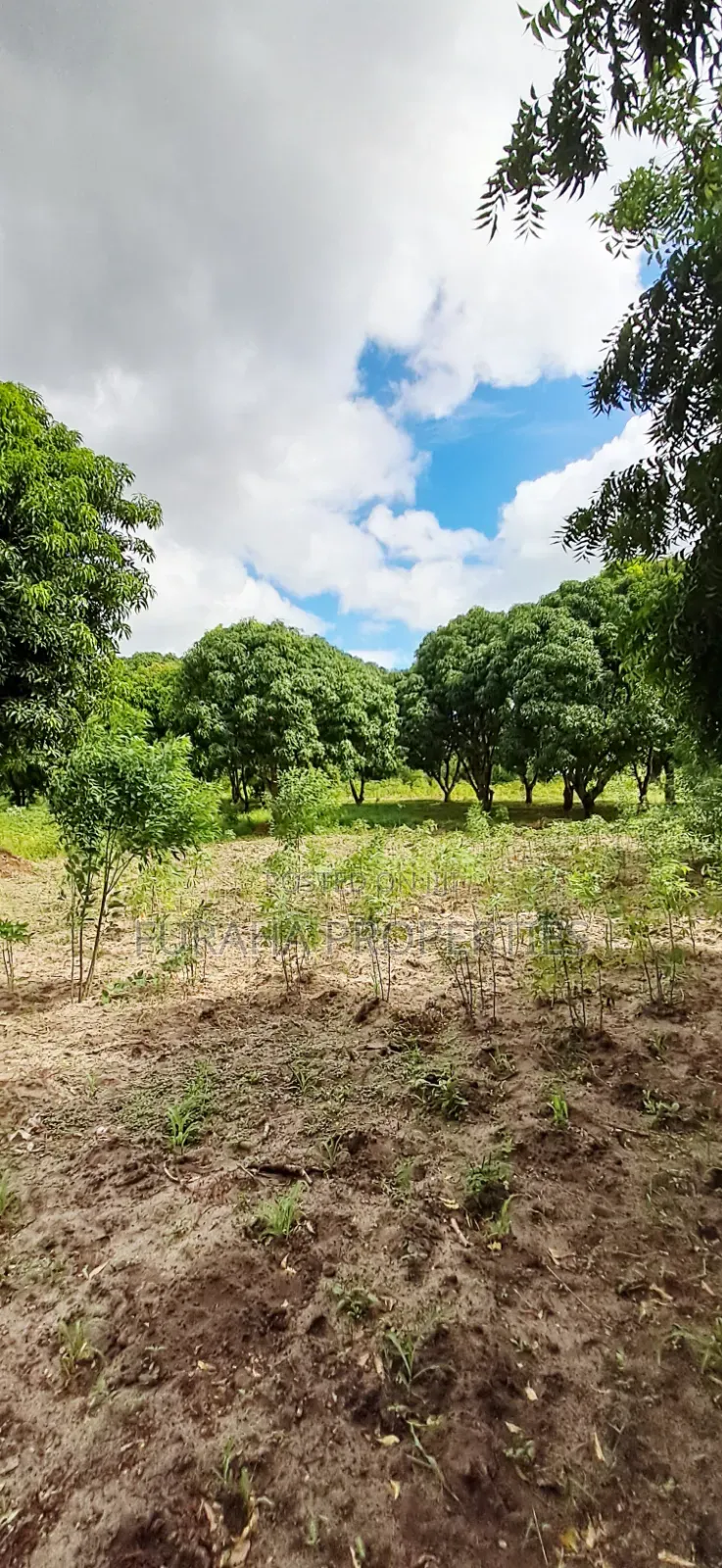 For Sale 6 Acres Prime Plot Mtwapa in Mtwapa