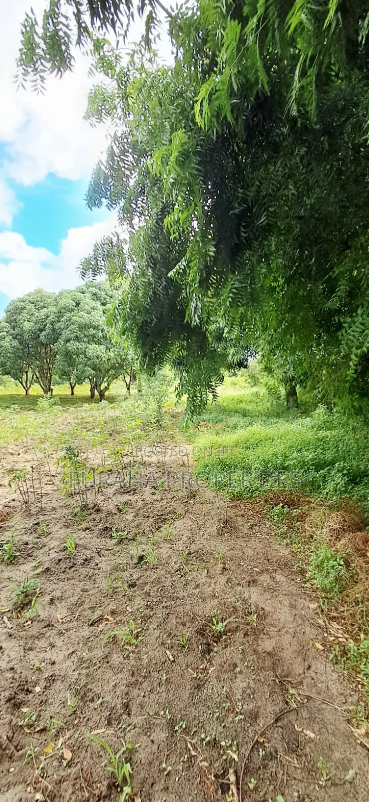 For Sale 6 Acres Prime Plot Mtwapa in Mtwapa