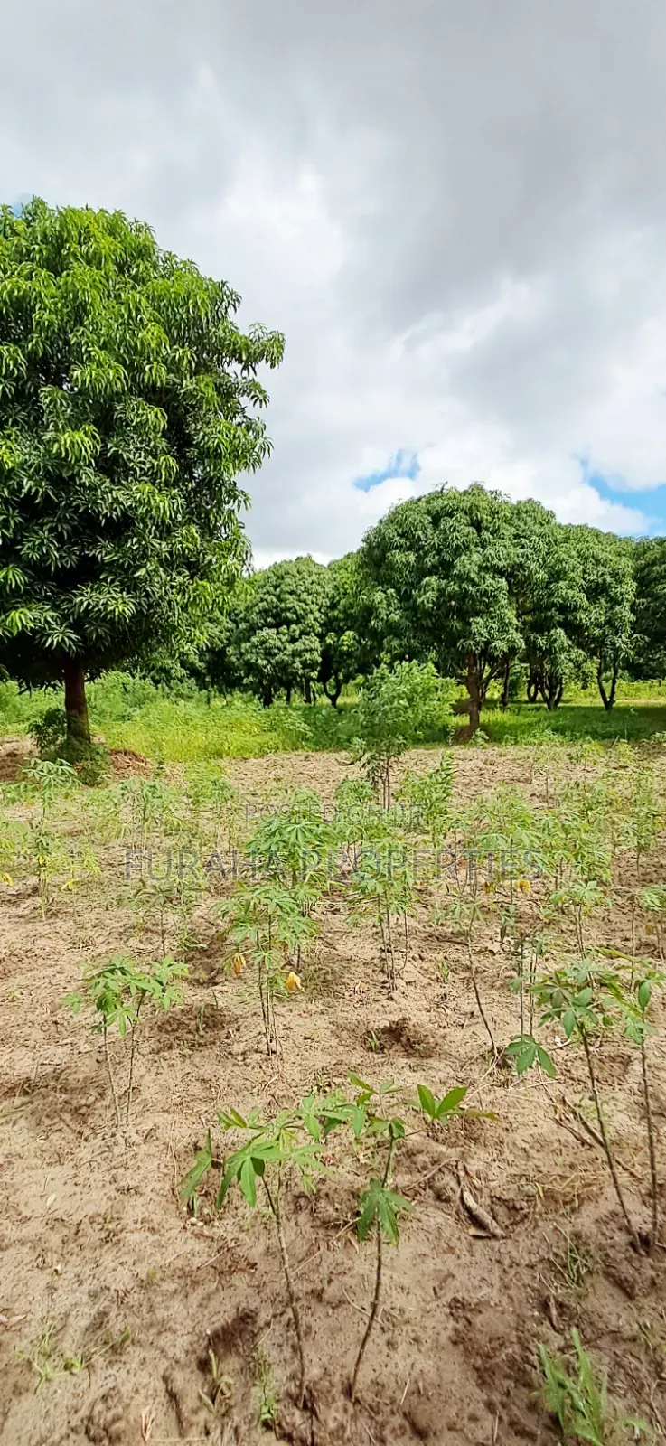 For Sale 6 Acres Prime Plot Mtwapa in Mtwapa