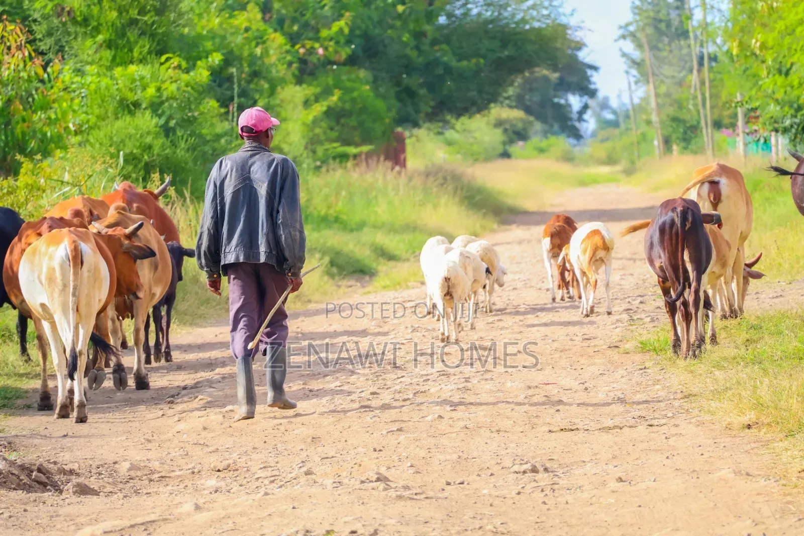 Plots in Juja Farm.M.M in Makongeni / Thika