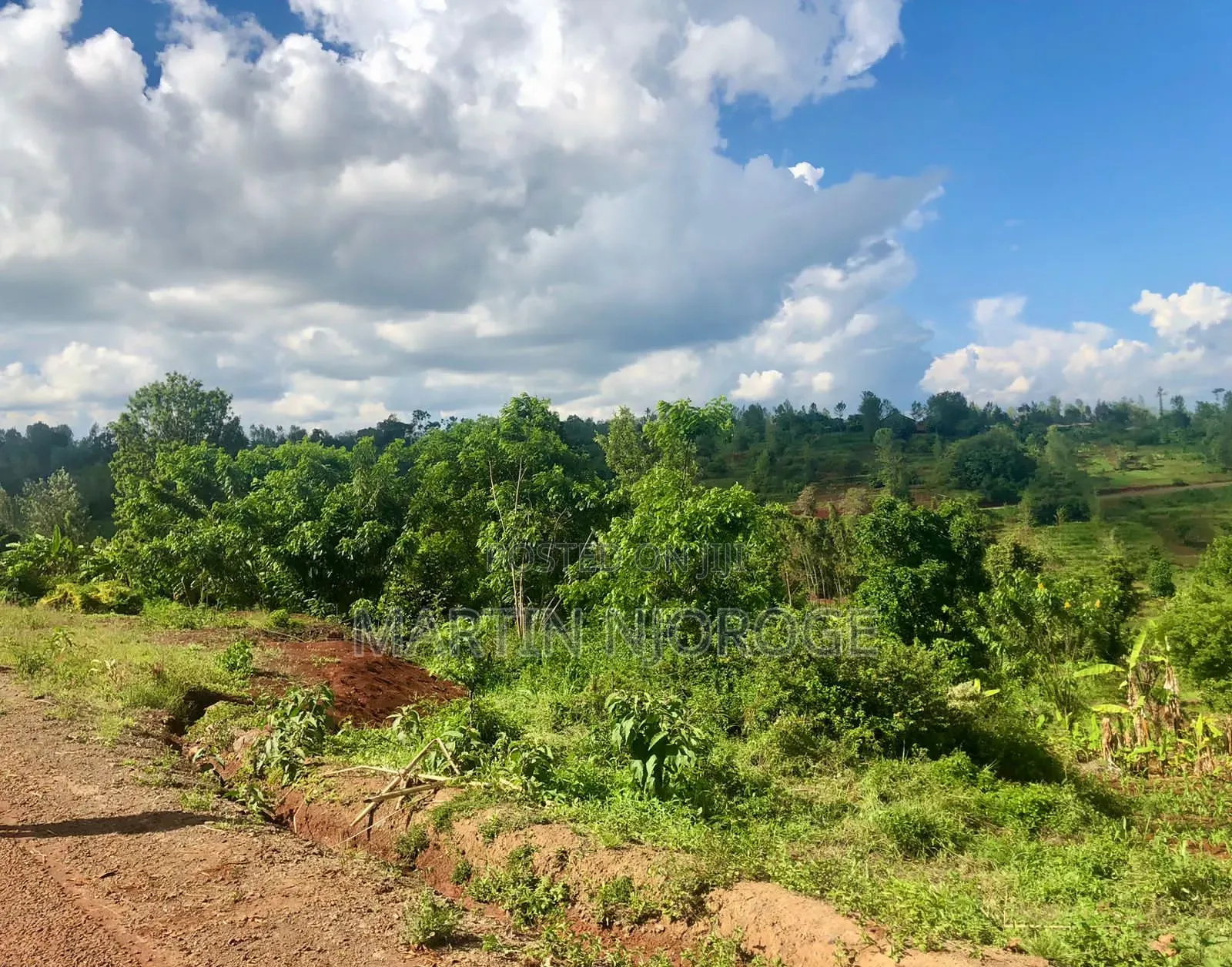 9 Acres Kiborojo, Lower Subukia in Kabazi
