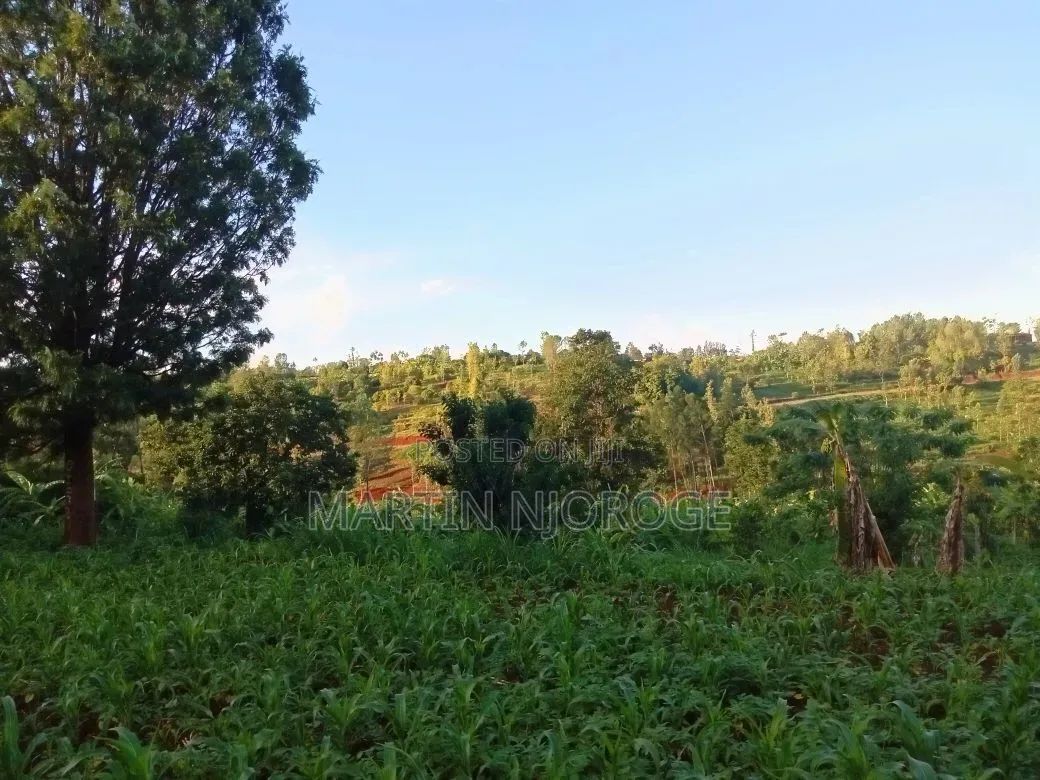 9 Acres Kiborojo, Lower Subukia in Kabazi