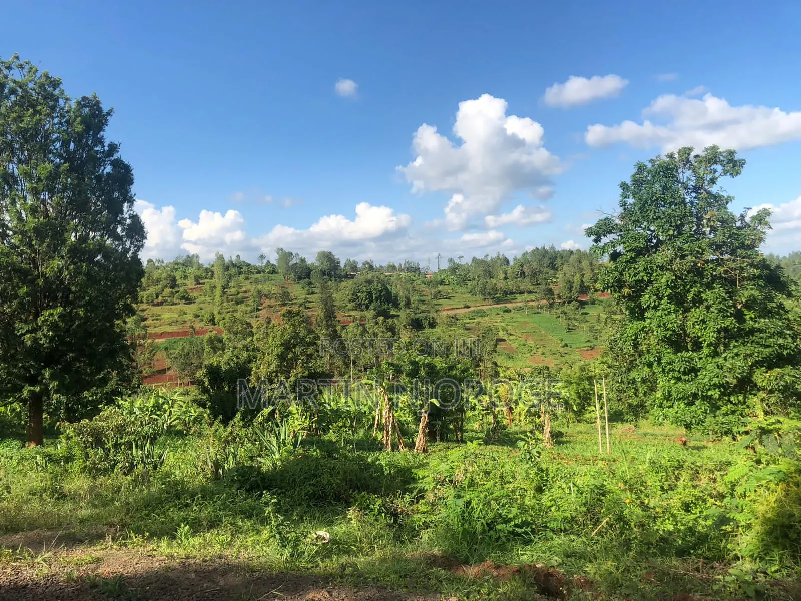 9 Acres Kiborojo, Lower Subukia in Kabazi