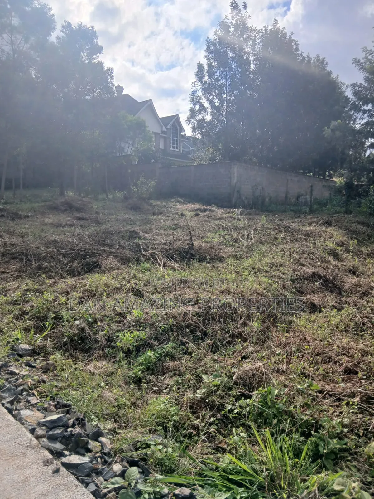 1/4 Acre Plot in Kerarapon Drive for Sale Subdivided Into 50 by 100 in Kerarapon
