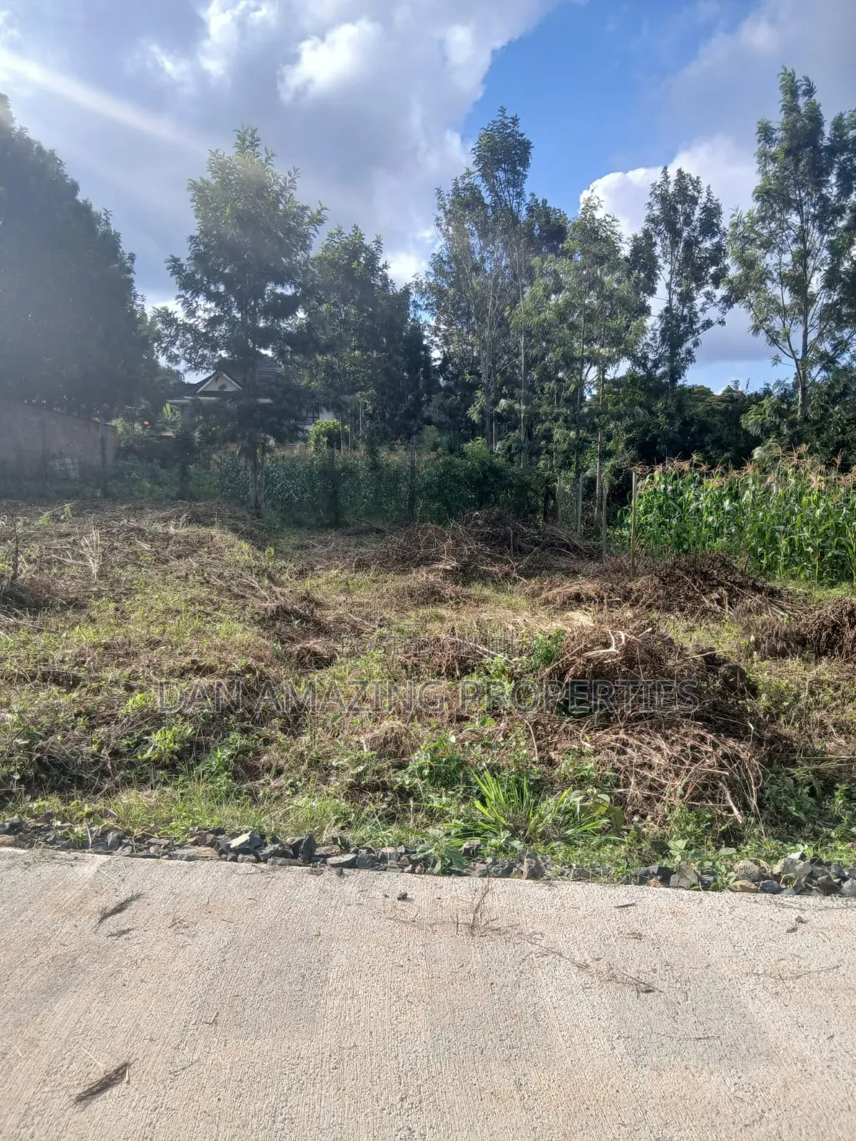 1/4 Acre Plot in Kerarapon Drive for Sale Subdivided Into 50 by 100 in Kerarapon