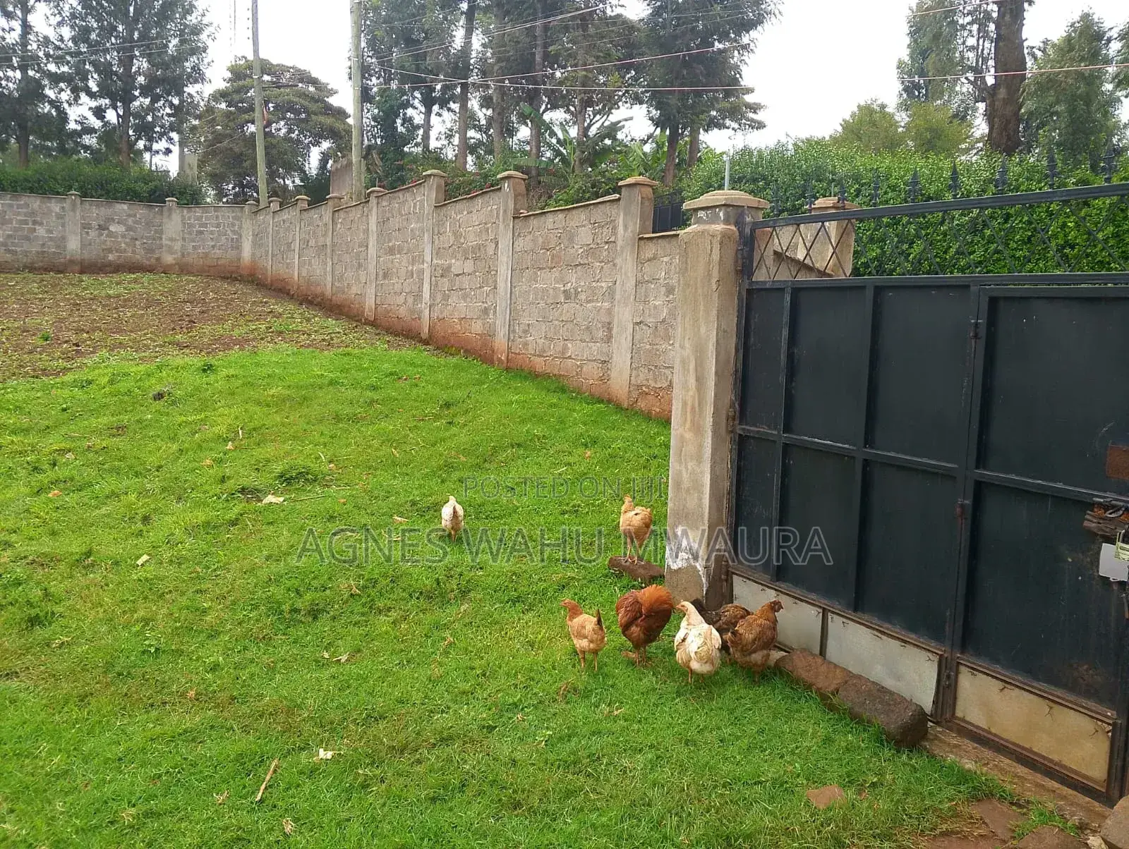 Commercial Land for Sale in Ngong Town 1/4 of Anacre in Ngong CBD