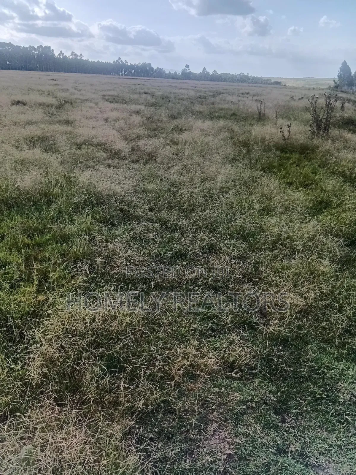 17 Acres of Land for Sale in Kipeto Area 3km Off Kiserian-Isinya Rd in Kiserian