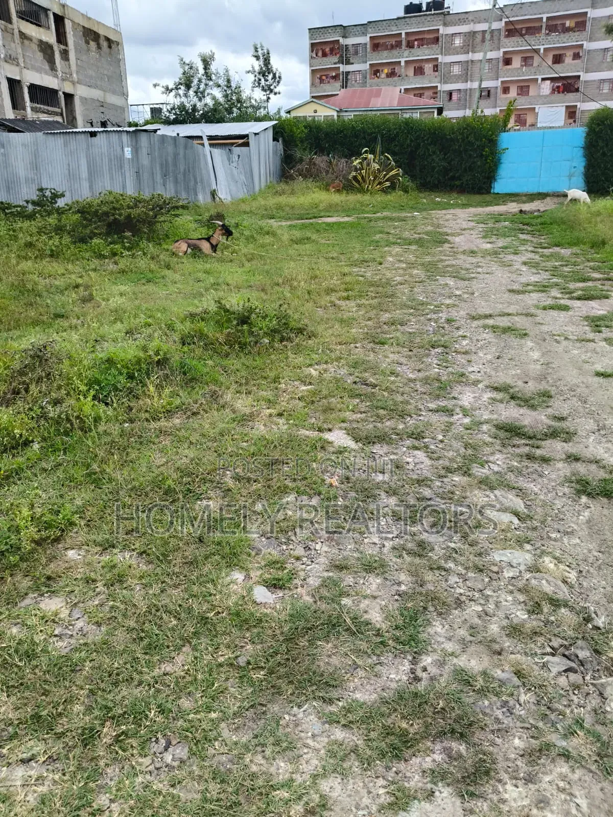 Commercial Quarter Acre Plot for Sale in Kitengela, Balozi Road in Kitengela