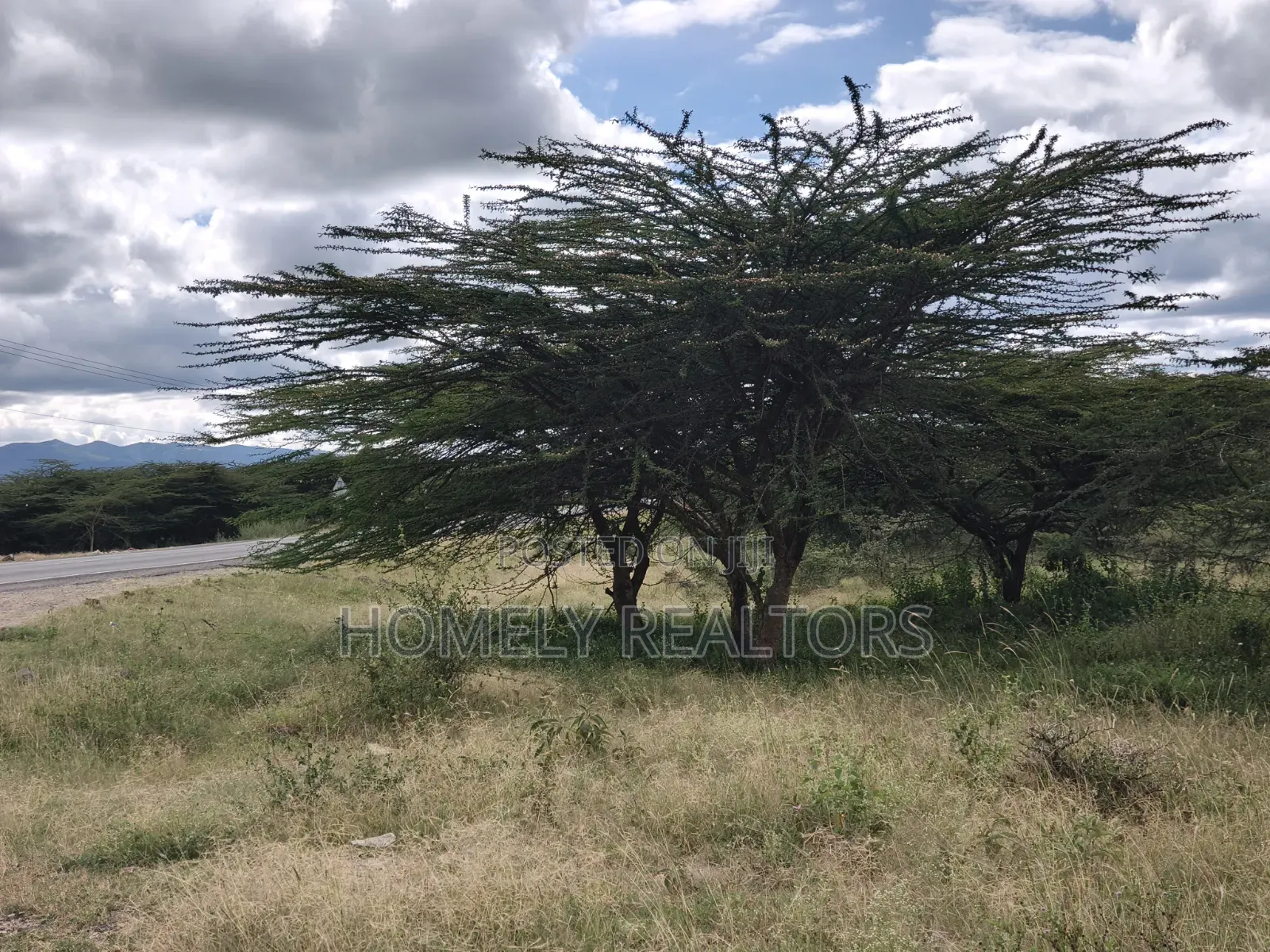 Half Acre Plot for Sale in Dawamu Touching Kiserian-Isinya Tarmac in Kiserian