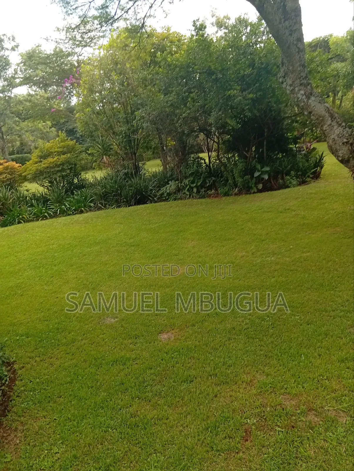 5bdrm House in Karen for rent in Karen