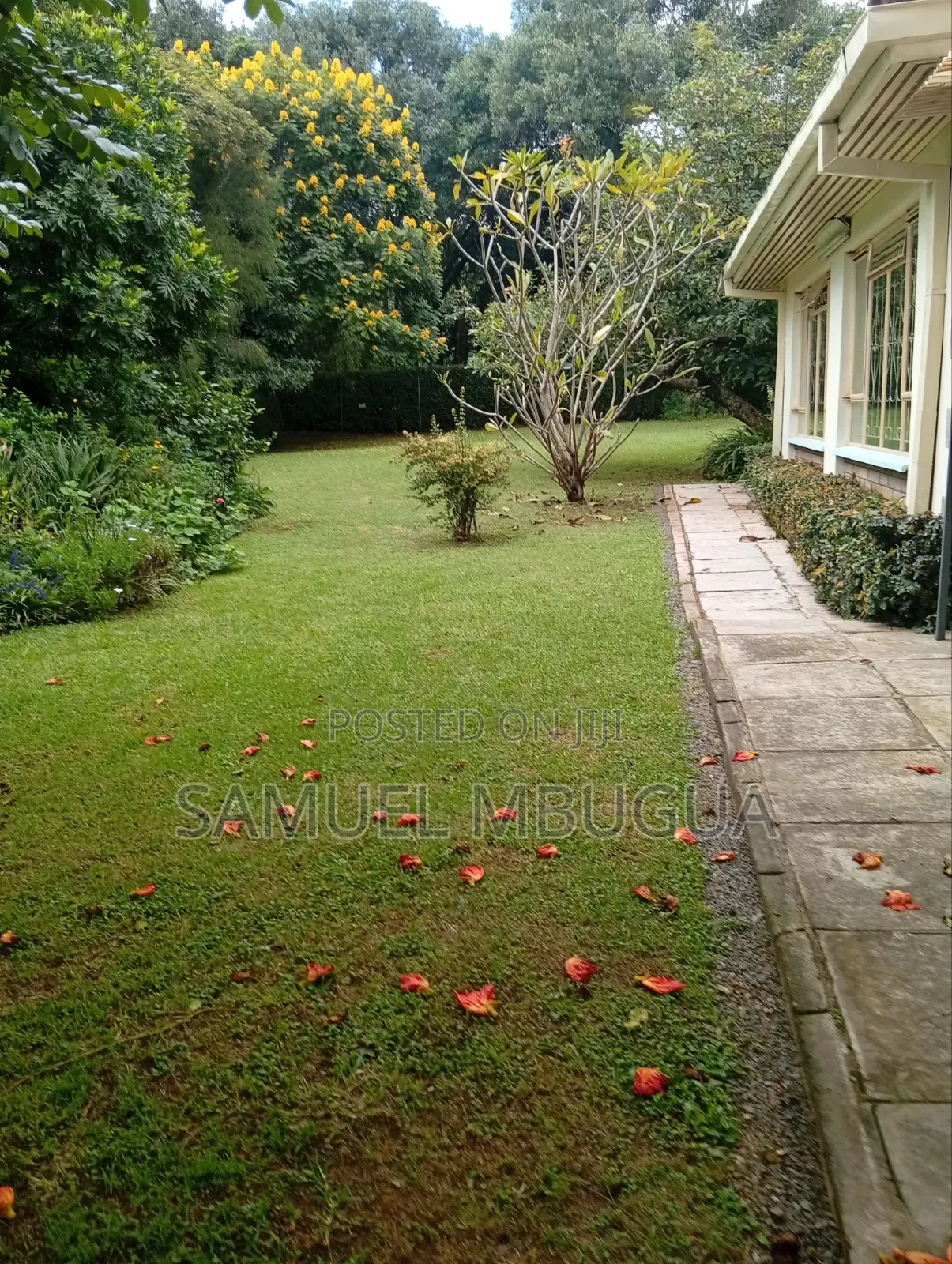 5bdrm House in Karen for rent in Karen