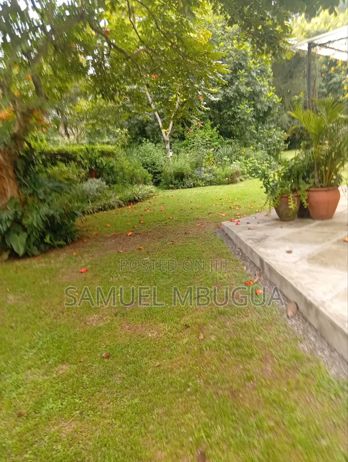5bdrm House in Karen for rent in Karen