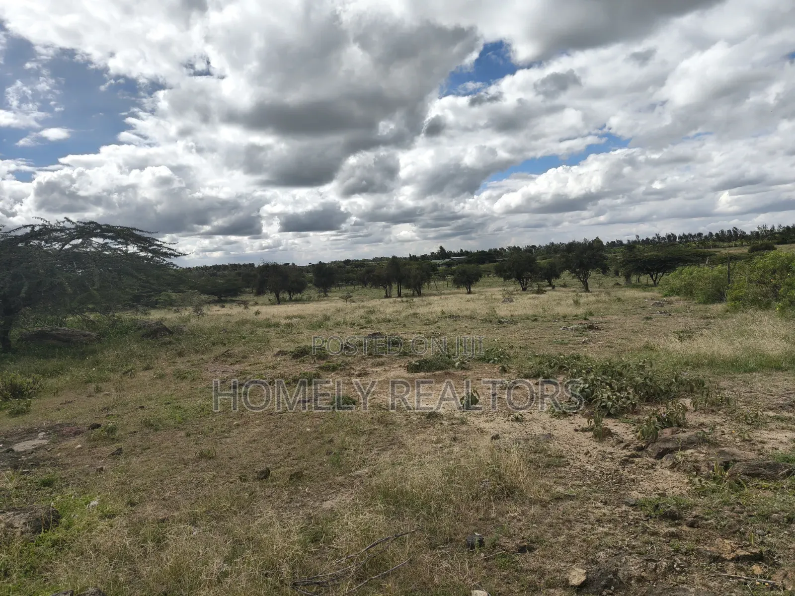 Eighth Acre Plots for Sale in Kiserian, Dawamu From Tarmac to 5th Row in Kiserian