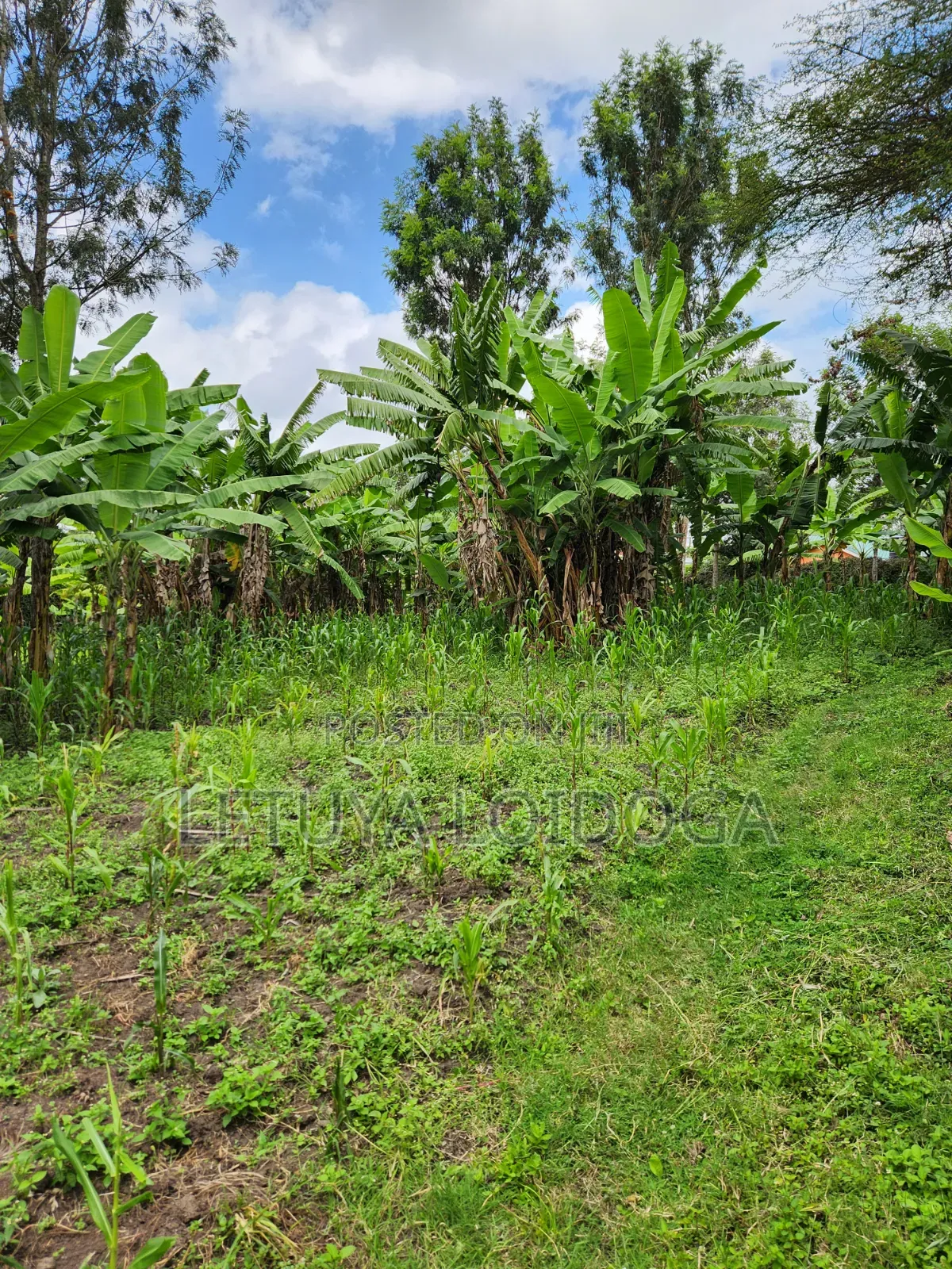 Developed 1-Acre Ngong-Oloolua in Oluulua