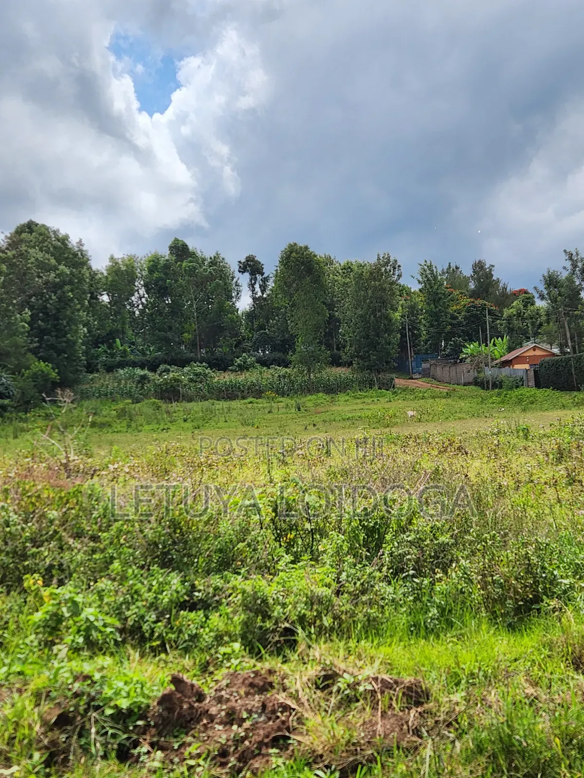 1⁄8 Acre Plots Ngong-Oloolua in Oluulua