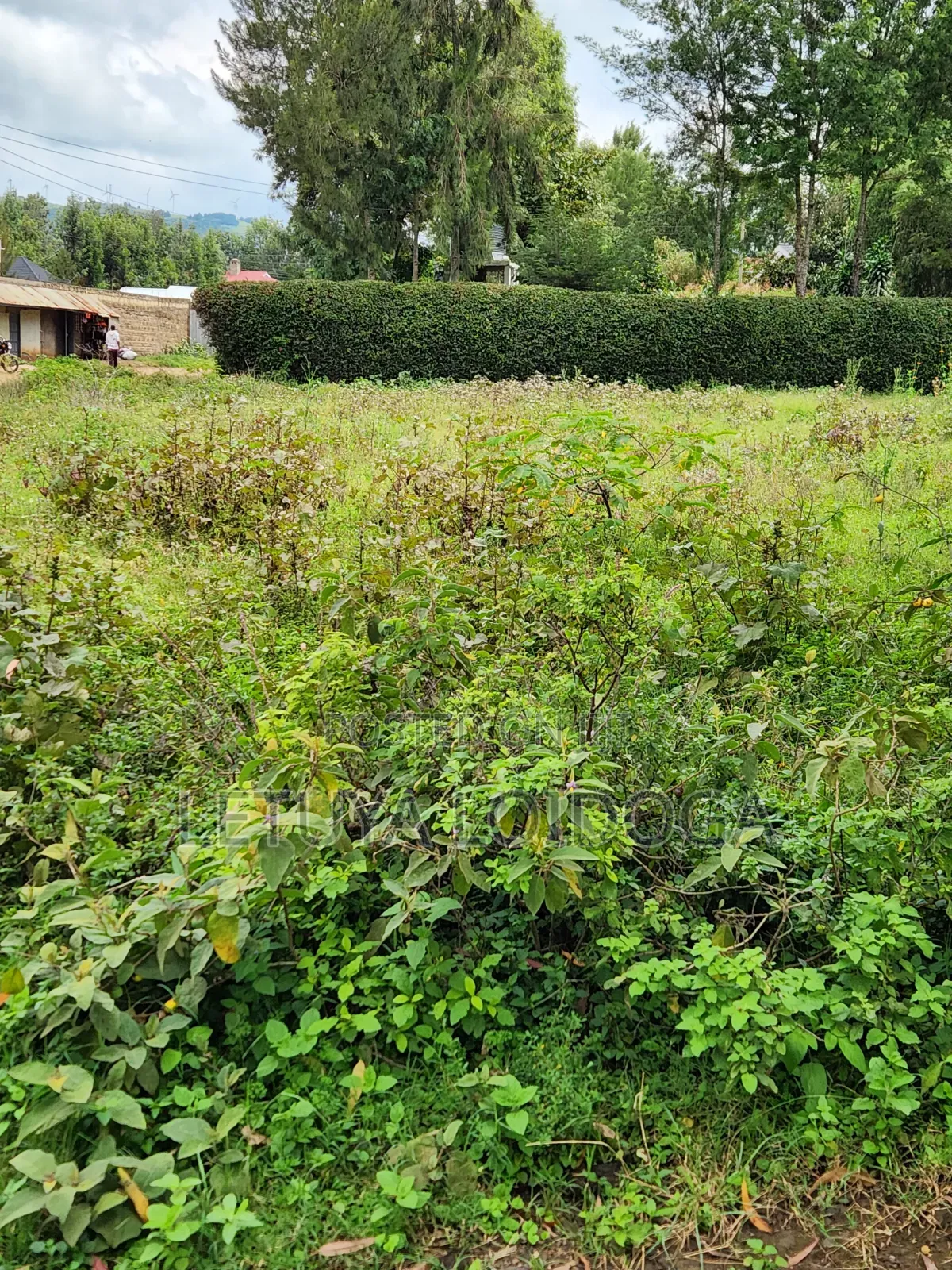 1⁄8 Acre Plots Ngong-Oloolua in Oluulua