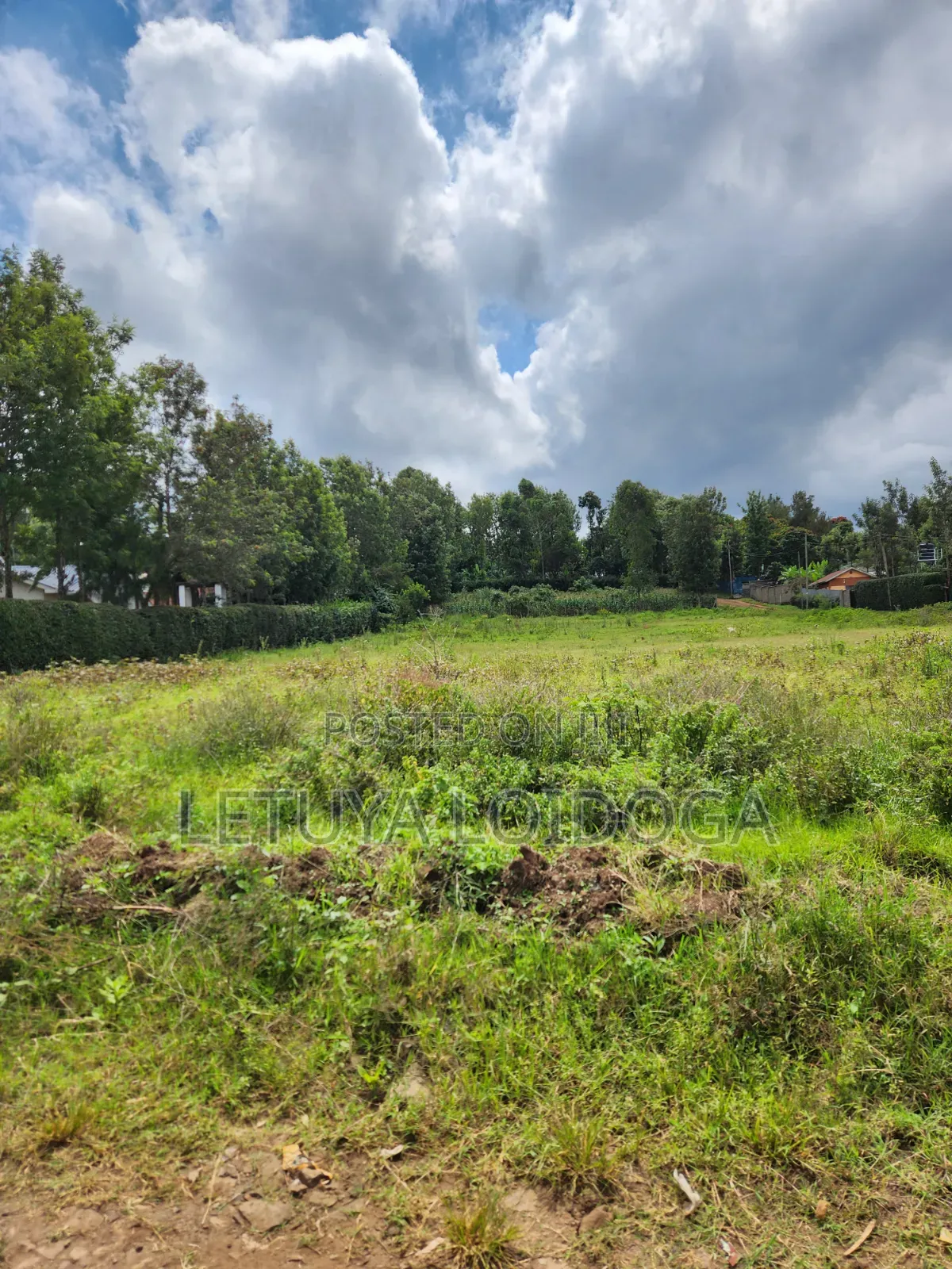 1⁄8 Acre Plots Ngong-Oloolua in Oluulua