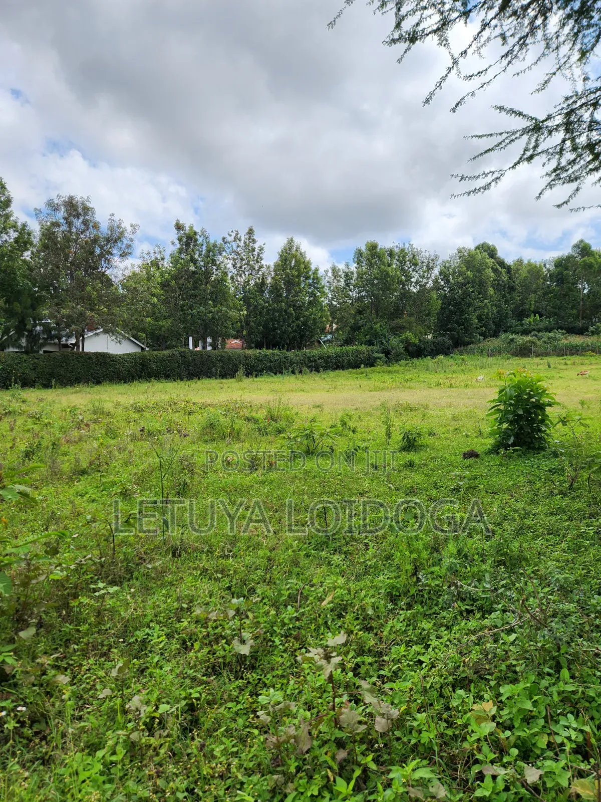 1⁄8 Acre Plots Ngong-Oloolua in Oluulua