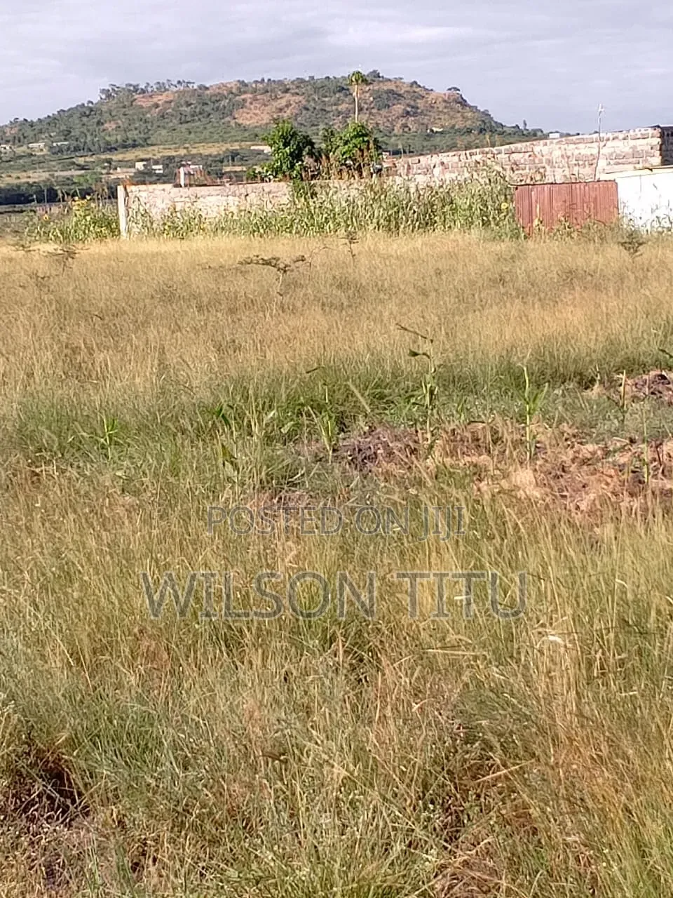 Land for Sale Two Acres in Malaa