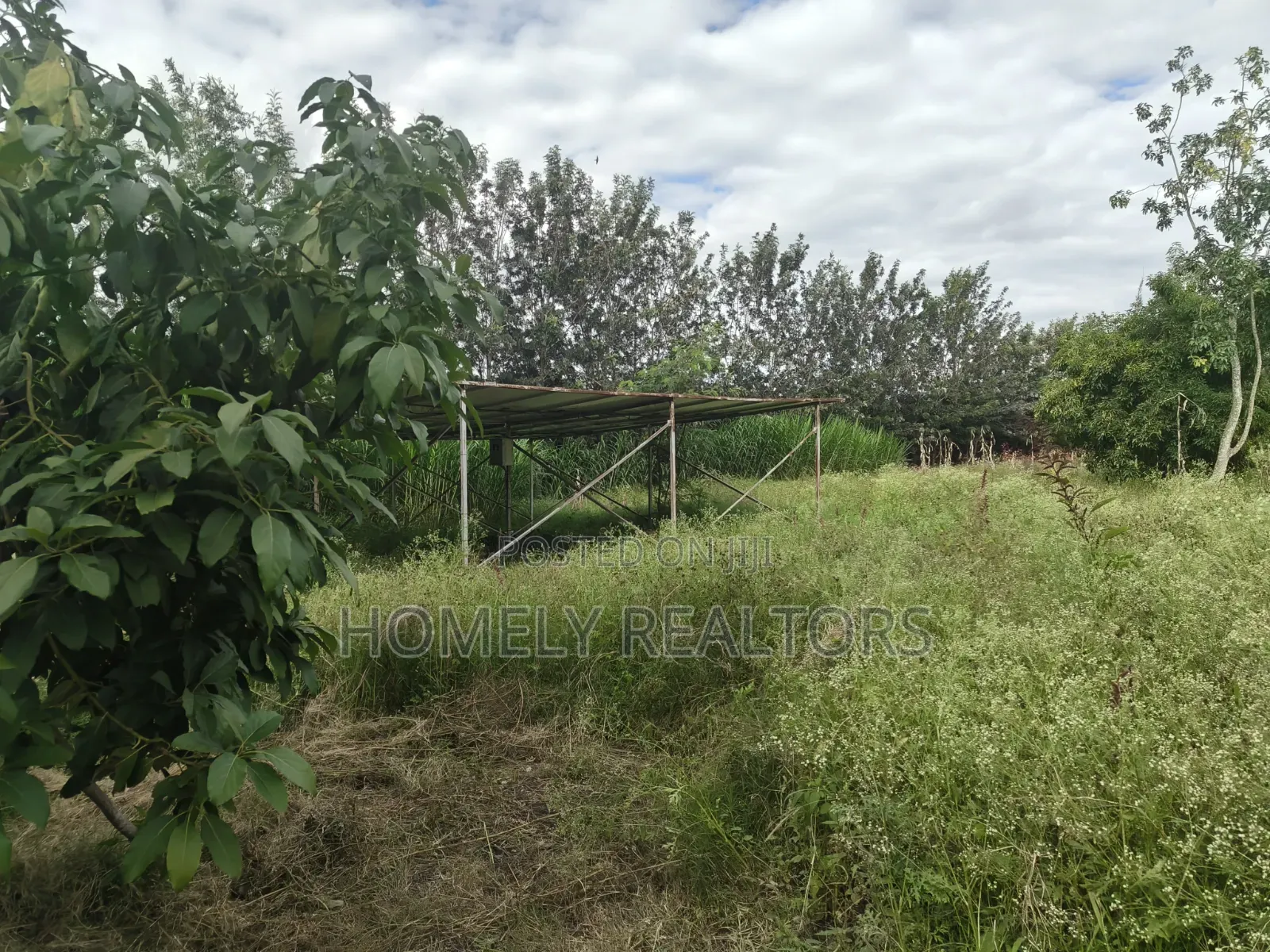 5-acre Farm And Farmland On Sale In Kiserian 400 Meters From Tarmac in Kiserian