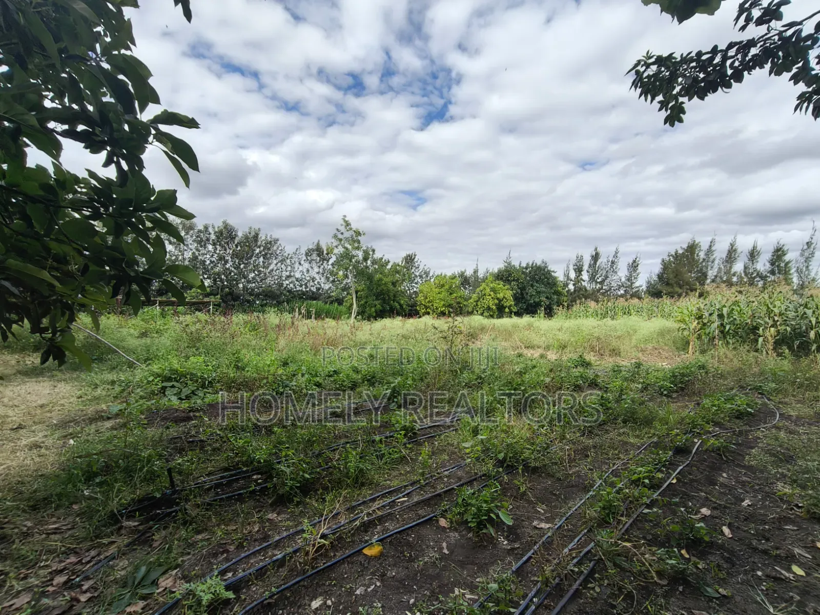 5-acre Farm And Farmland On Sale In Kiserian 400 Meters From Tarmac in Kiserian
