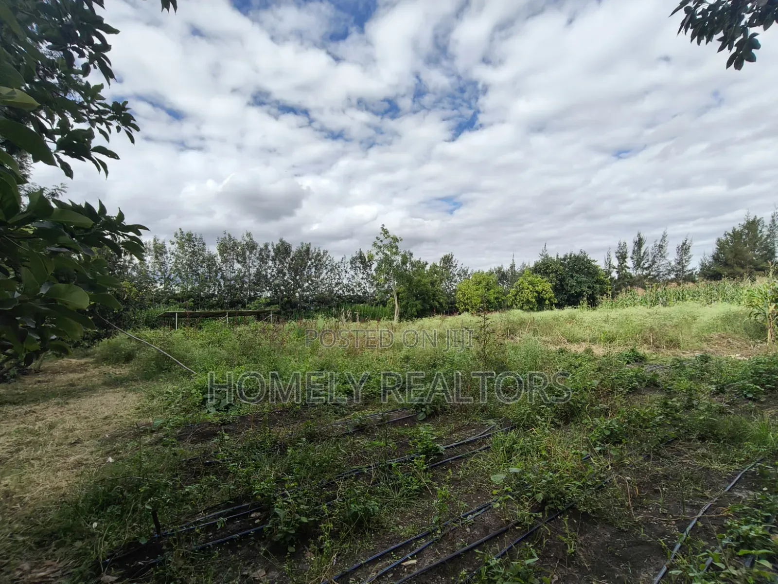 5-acre Farm And Farmland On Sale In Kiserian 400 Meters From Tarmac in Kiserian