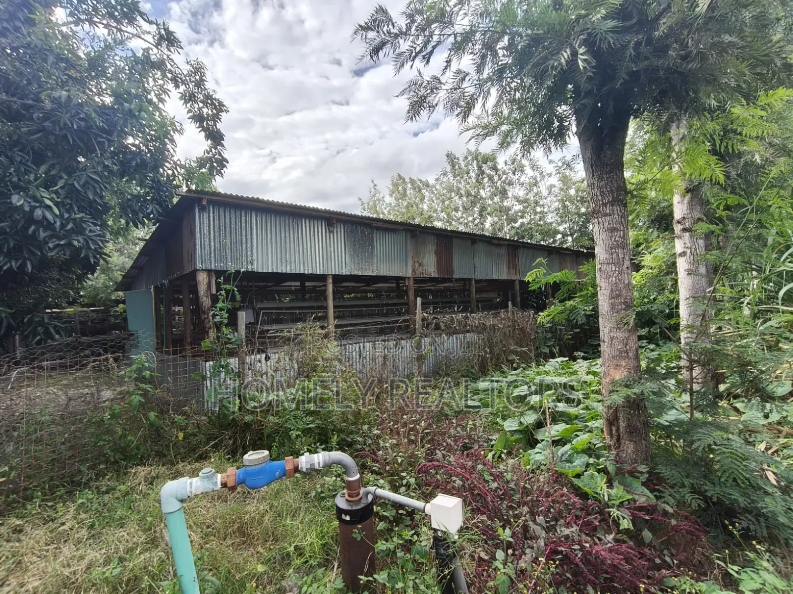 5-acre Farm And Farmland On Sale In Kiserian 400 Meters From Tarmac in Kiserian