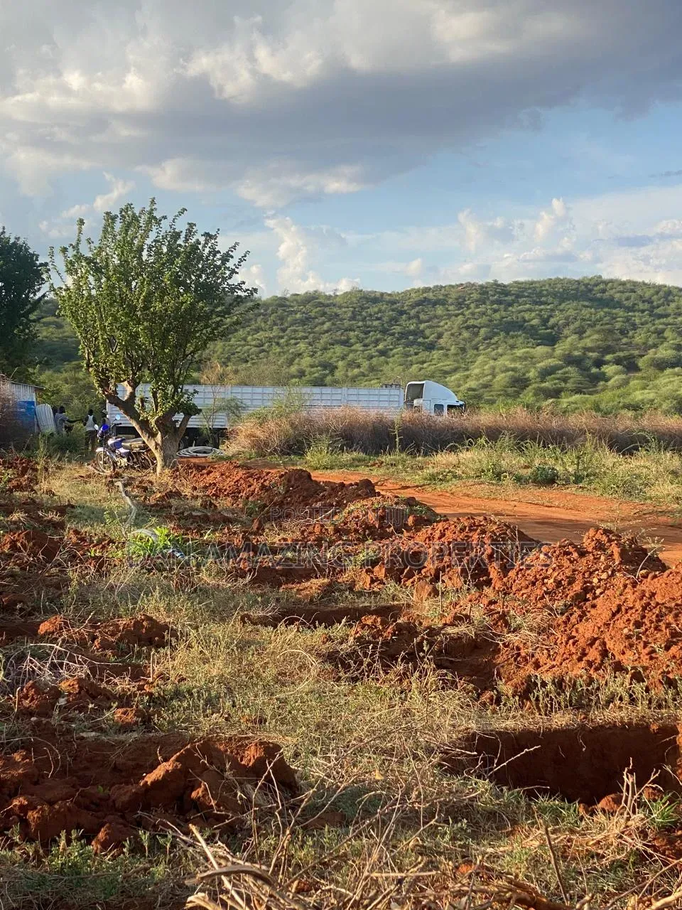 50 Acres in Embu Ishiara for Sale as a Block Currently Under Farming in Kiambere