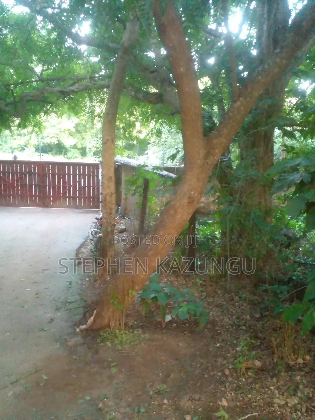 Diani Beach 1/4 Acre Plot Only 150 Metres From the Beach on 2nd Row in Ukunda