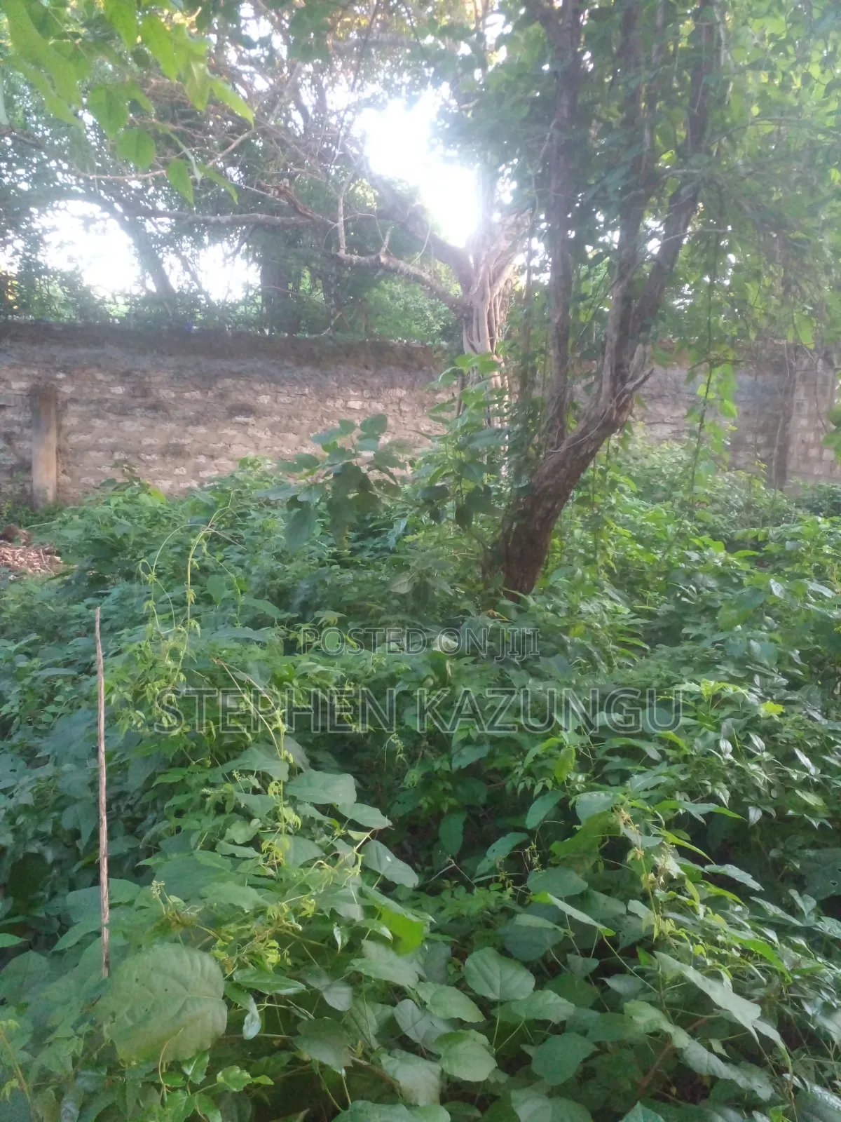 Diani Beach 1/4 Acre Plot Only 150 Metres From the Beach on 2nd Row in Ukunda
