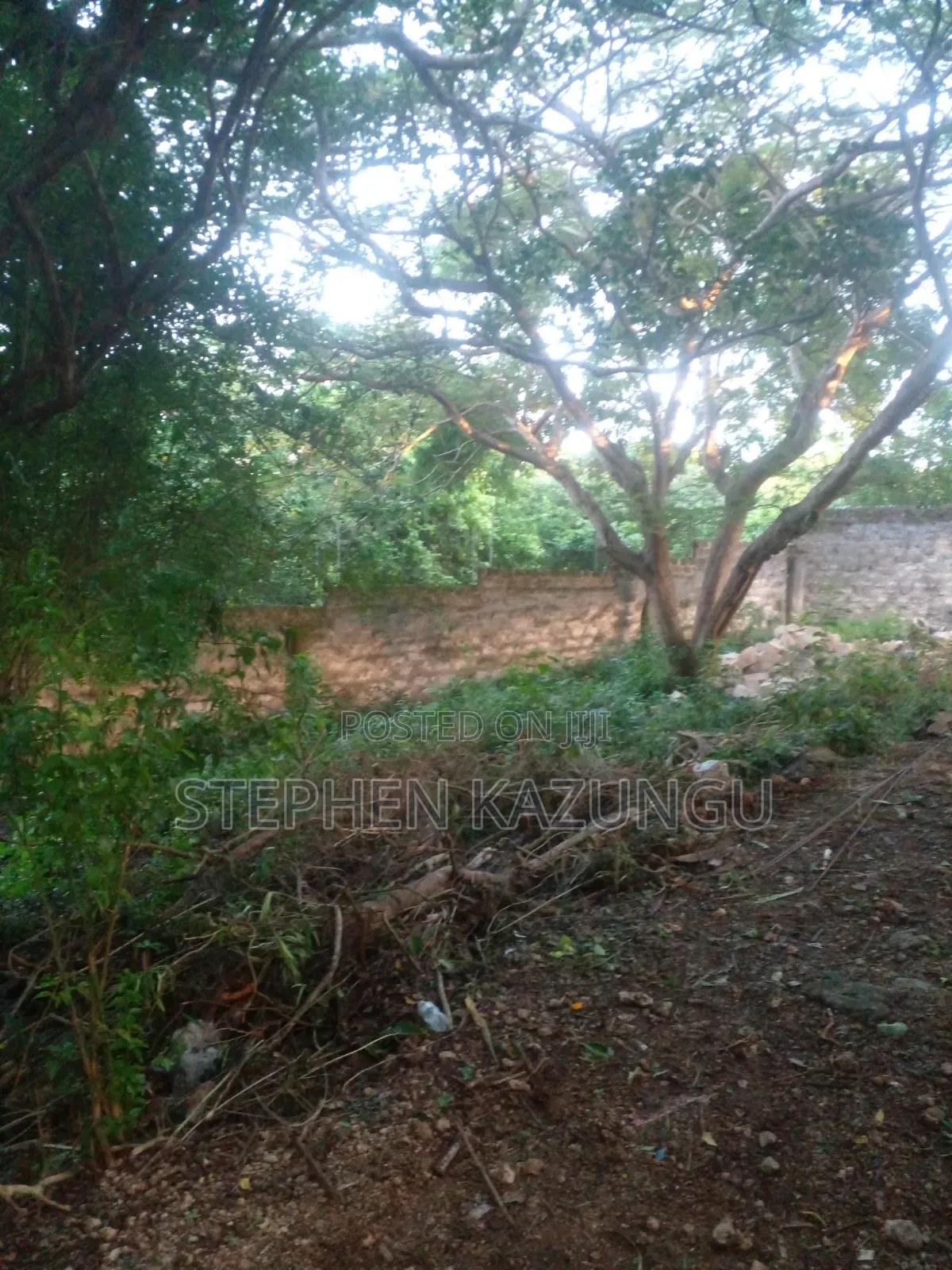 Diani Beach 1/4 Acre Plot Only 150 Metres From the Beach on 2nd Row in Ukunda