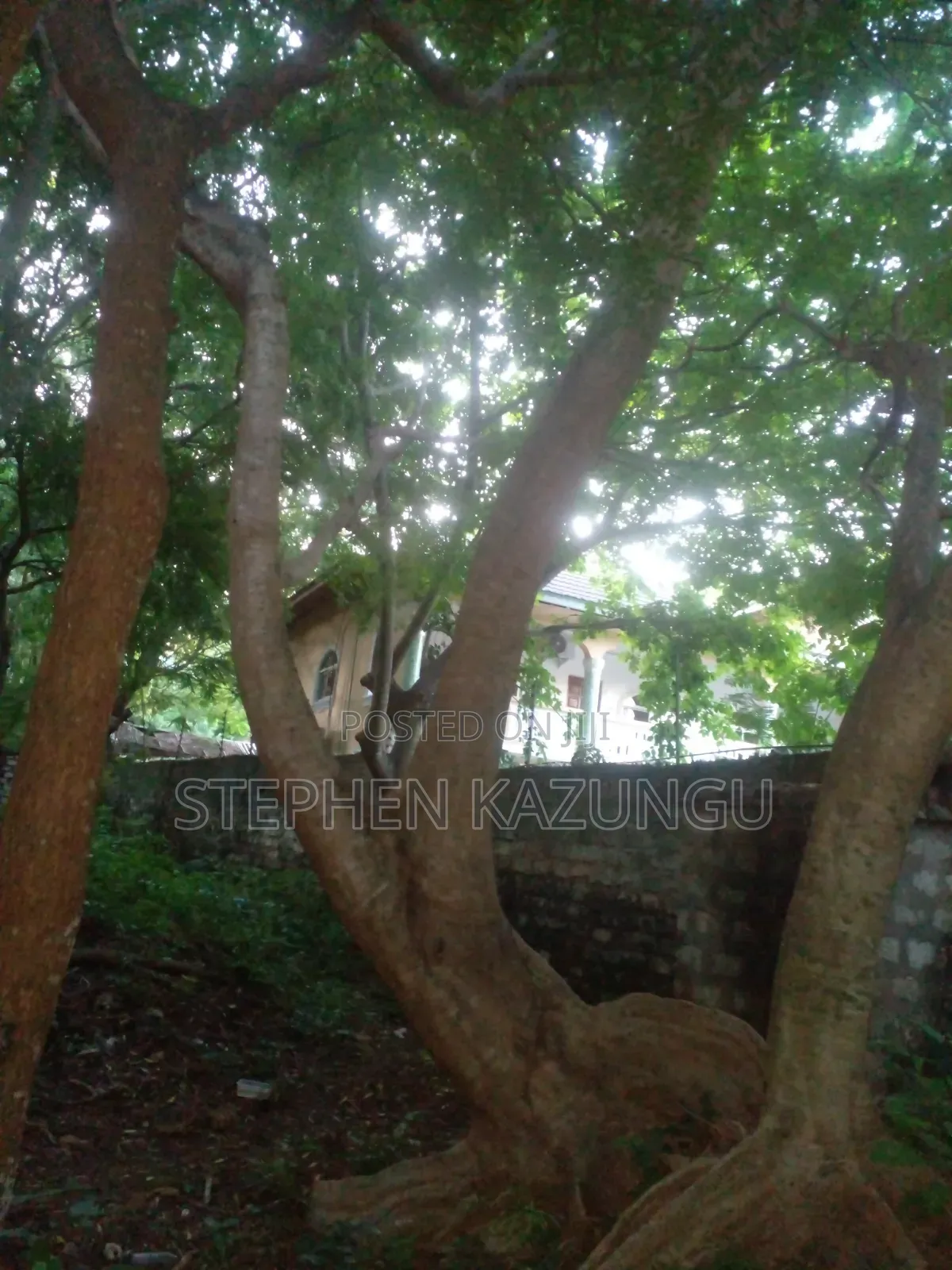 Almost 1/2 Acre Plot at 150 Metres From the Beach in Diani Beach in Ukunda