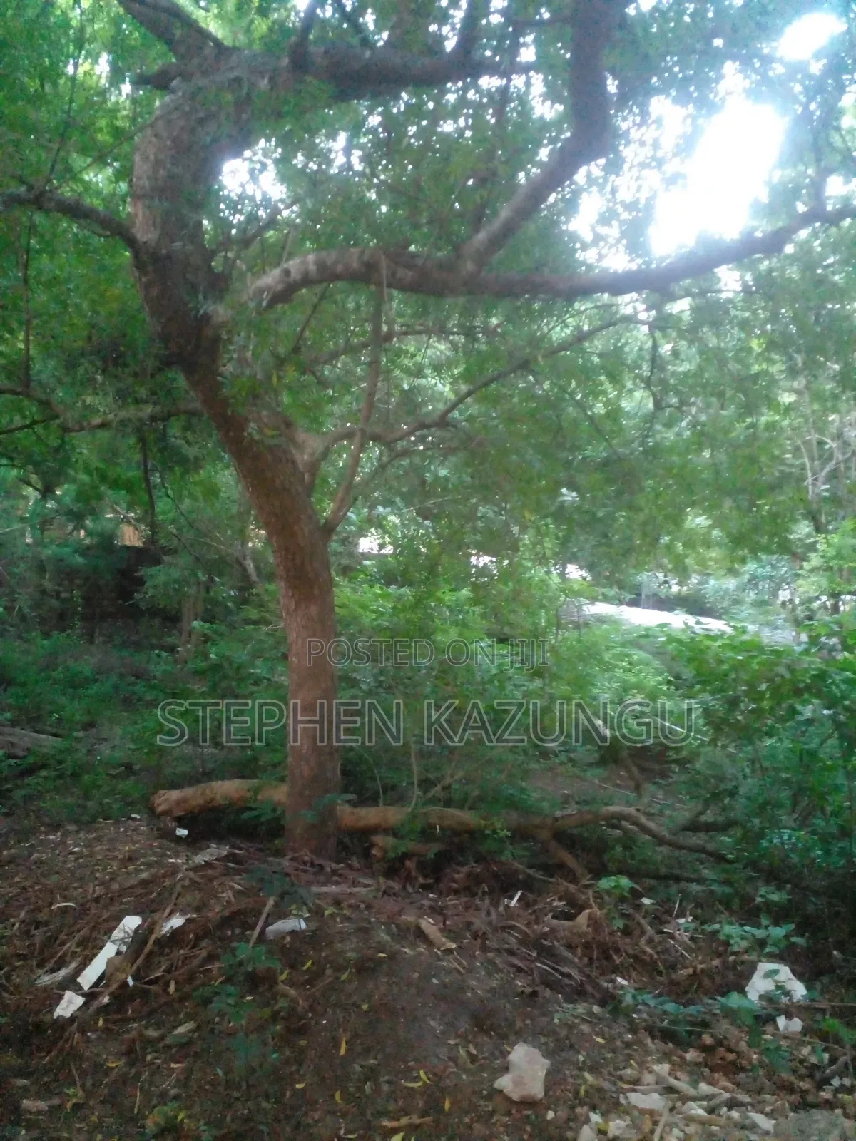 Almost 1/2 Acre Plot at 150 Metres From the Beach in Diani Beach in Ukunda