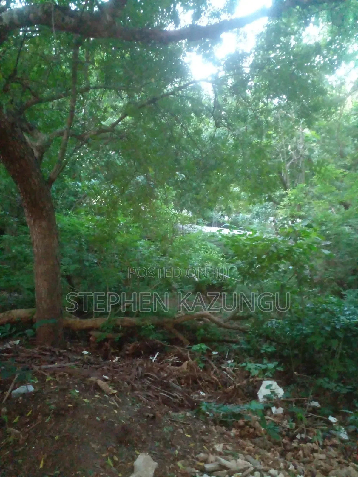 Almost 1/2 Acre Plot at 150 Metres From the Beach in Diani Beach in Ukunda