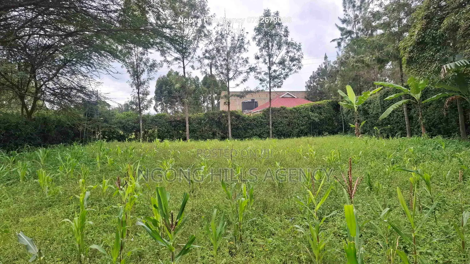 Prime 1-Acre Development Land – Ololua Dc Area, Ngong in Oluulua