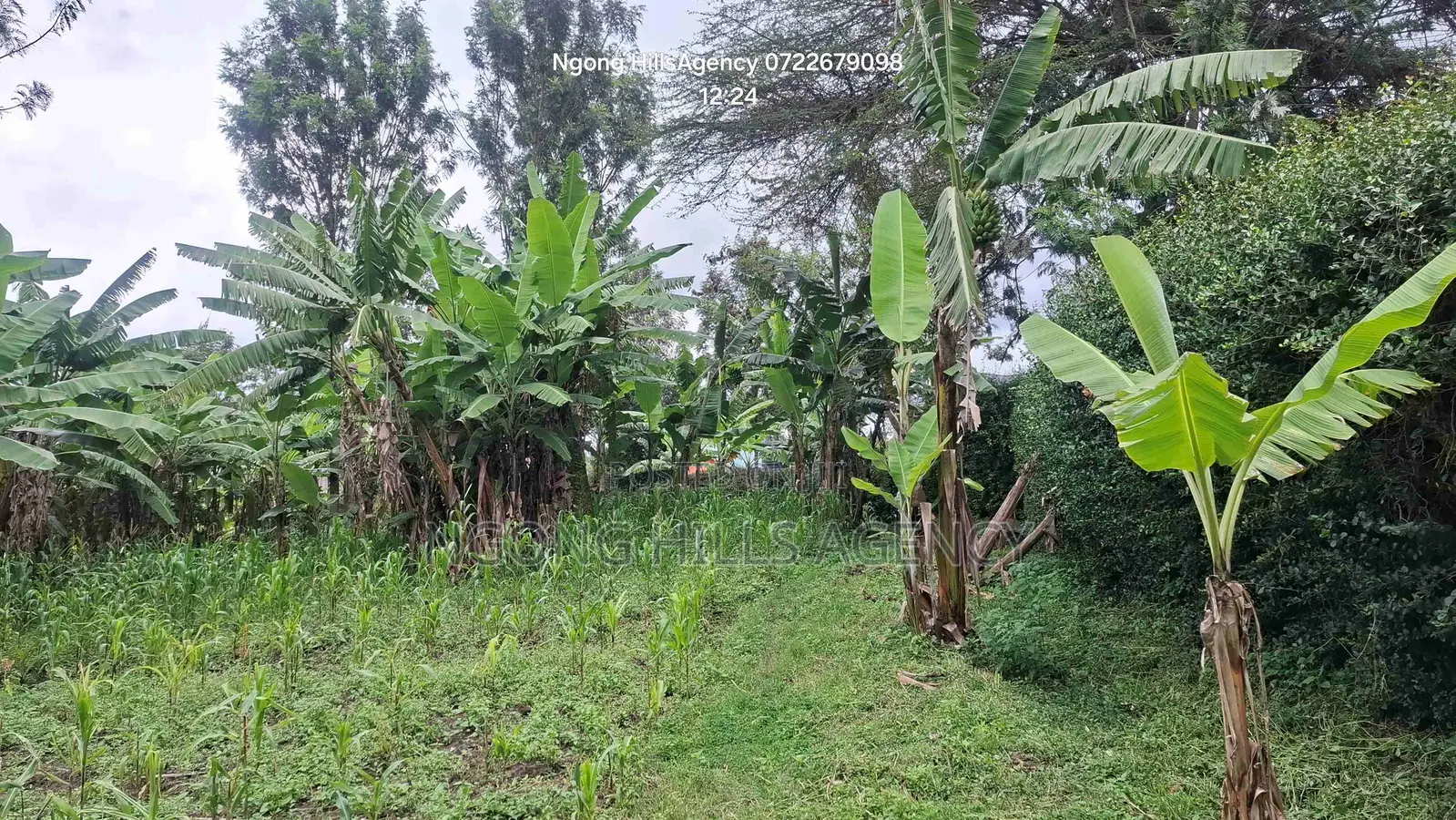 Prime 1-Acre Development Land – Ololua Dc Area, Ngong in Oluulua