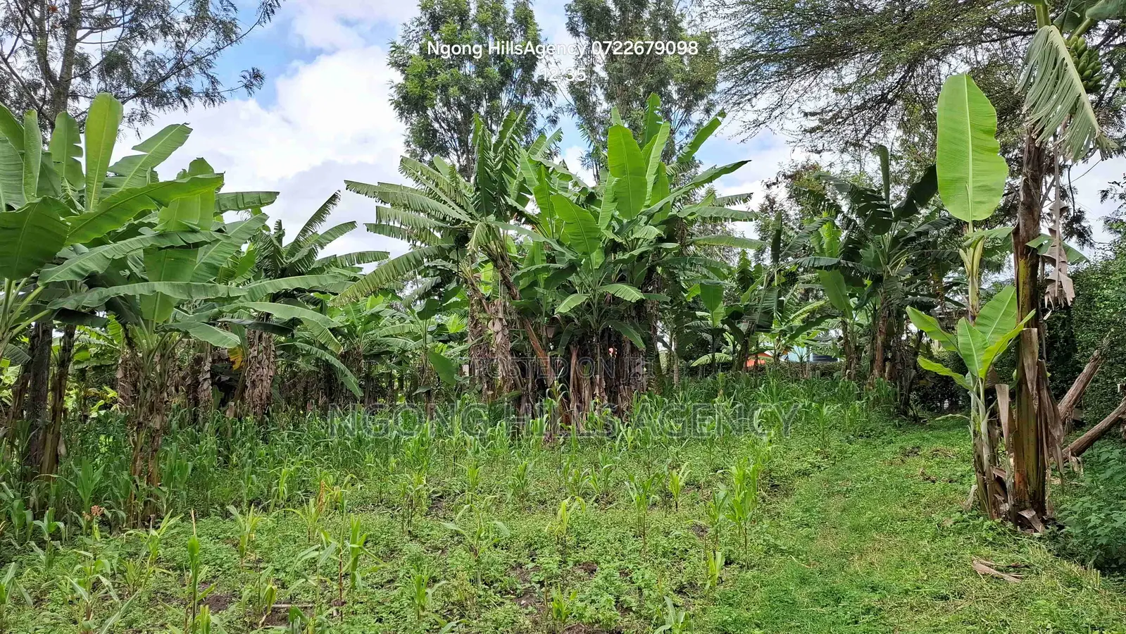 Prime 1-Acre Development Land – Ololua Dc Area, Ngong in Oluulua