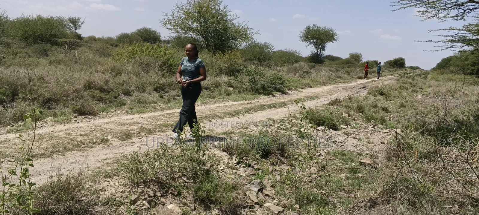 Lenchani Plots Below 400,000 in Kitengela